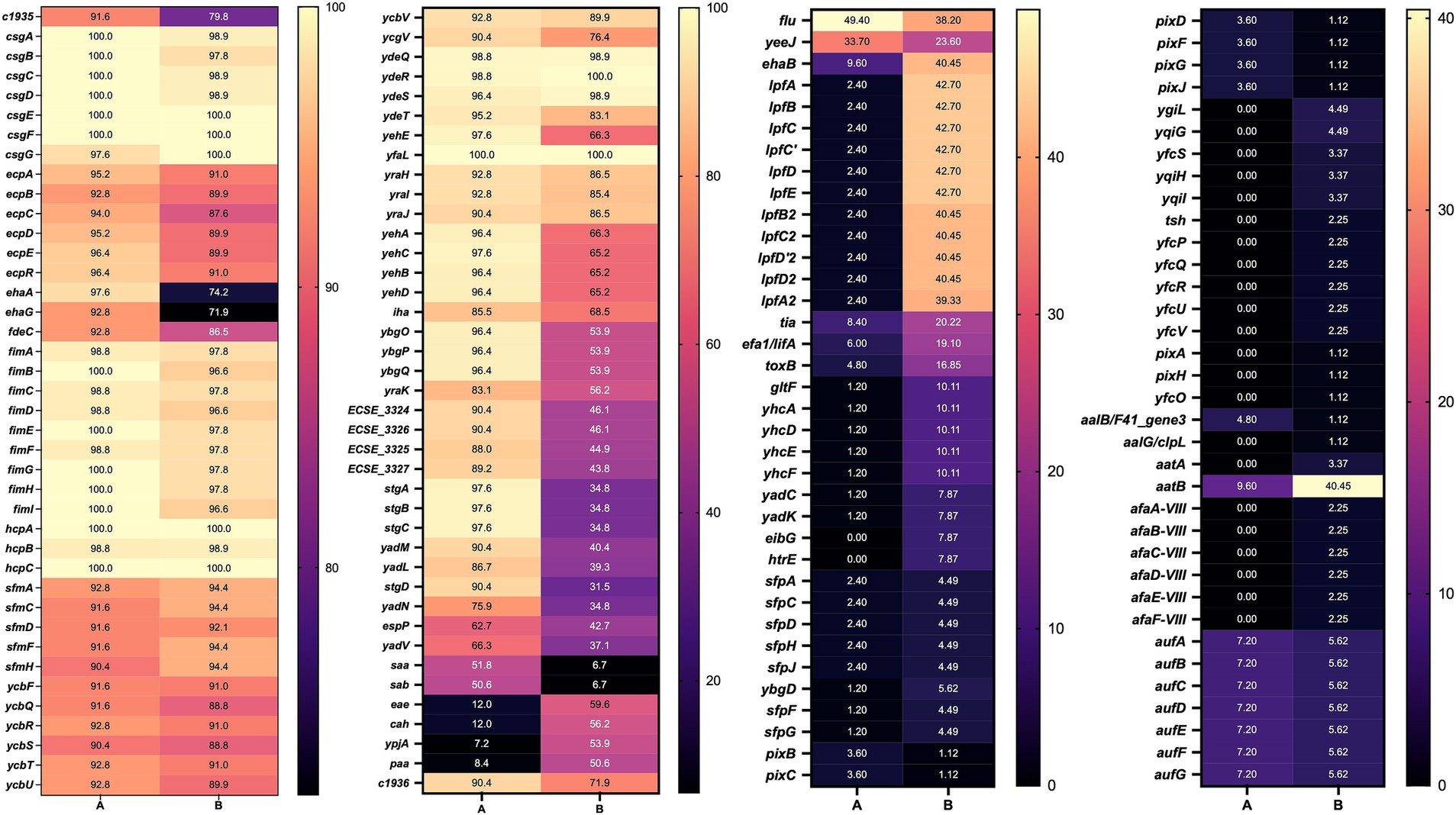 Heatmap showing frequency detection of various genes across cattle and human strains, labeled A and B respectively. The color gradient ranges from light yellow to dark purple, representing high to low prevalence values. Each panel contains different genes on the y-axis, with numerical frequency values alongside. The heatmap highlights variations in gene prevalence, with labels such as c1935, ehaG, and pixD, among others, illustrating diverse genes assessed.