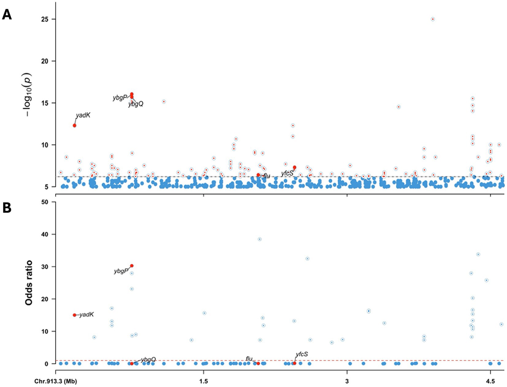 Scatter plots labeled A and B depict genetic association data. Plot A shows -log₁₀(p-value) on the y-axis with significant points marked above a threshold. Plot B displays odds ratio on the y-axis. Both plots highlight specific genes, including yadK, ybgP, and ybgQ, with red dots. The x-axis represents chromosome position in megabases (Mb).