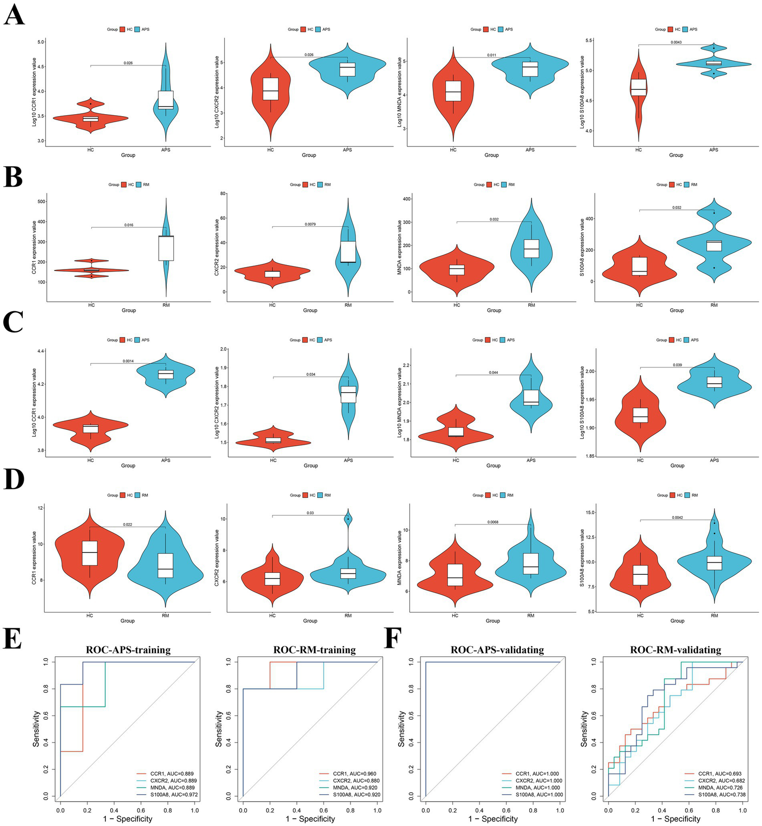 Violin plots and ROC curves depict data analysis results. Panels A to D showcase violin plots comparing expression levels of specific biomarkers across groups labeled as HC, APS, and RM. Panels E and F present ROC curves for APS and RM training and validating datasets, showing sensitivity versus specificity with labeled AUC values for CCR1, CXCR2, and MMD biomarkers.