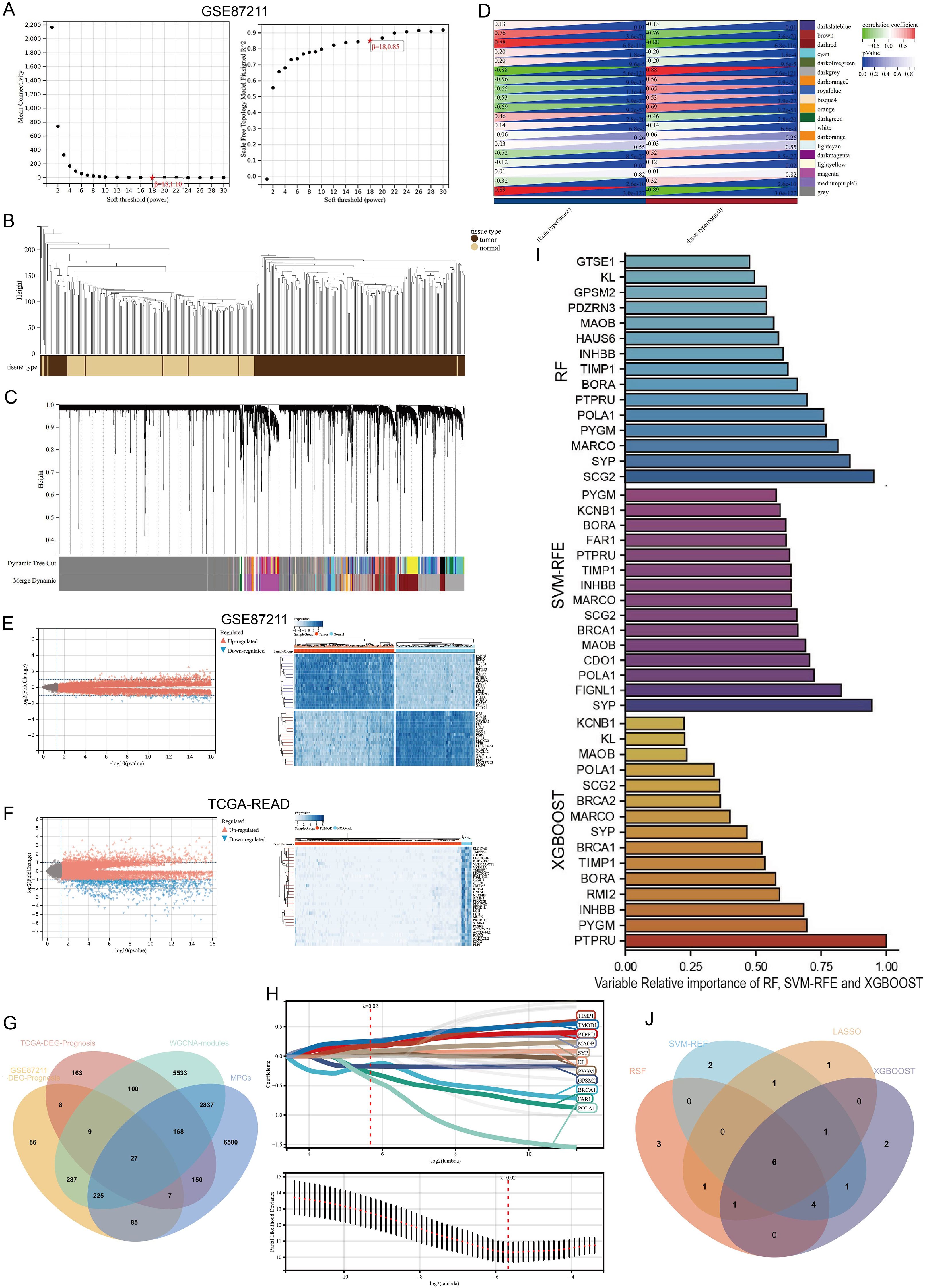 Multiple data visualizations analyzing gene expression and importance. Panels A and B show plots with thresholds and clustering. Panel C displays clustering with color-coded modules. Panel D is a heatmap of correlation coefficients. Panels E and F compare gene expression in datasets GSE87211 and TCGA-READ. Panel G is a Venn diagram showing gene overlaps. Panel H is a plot of variable selection across methods. Panel J is another Venn diagram indicating overlaps in selected variables from different machine learning techniques.