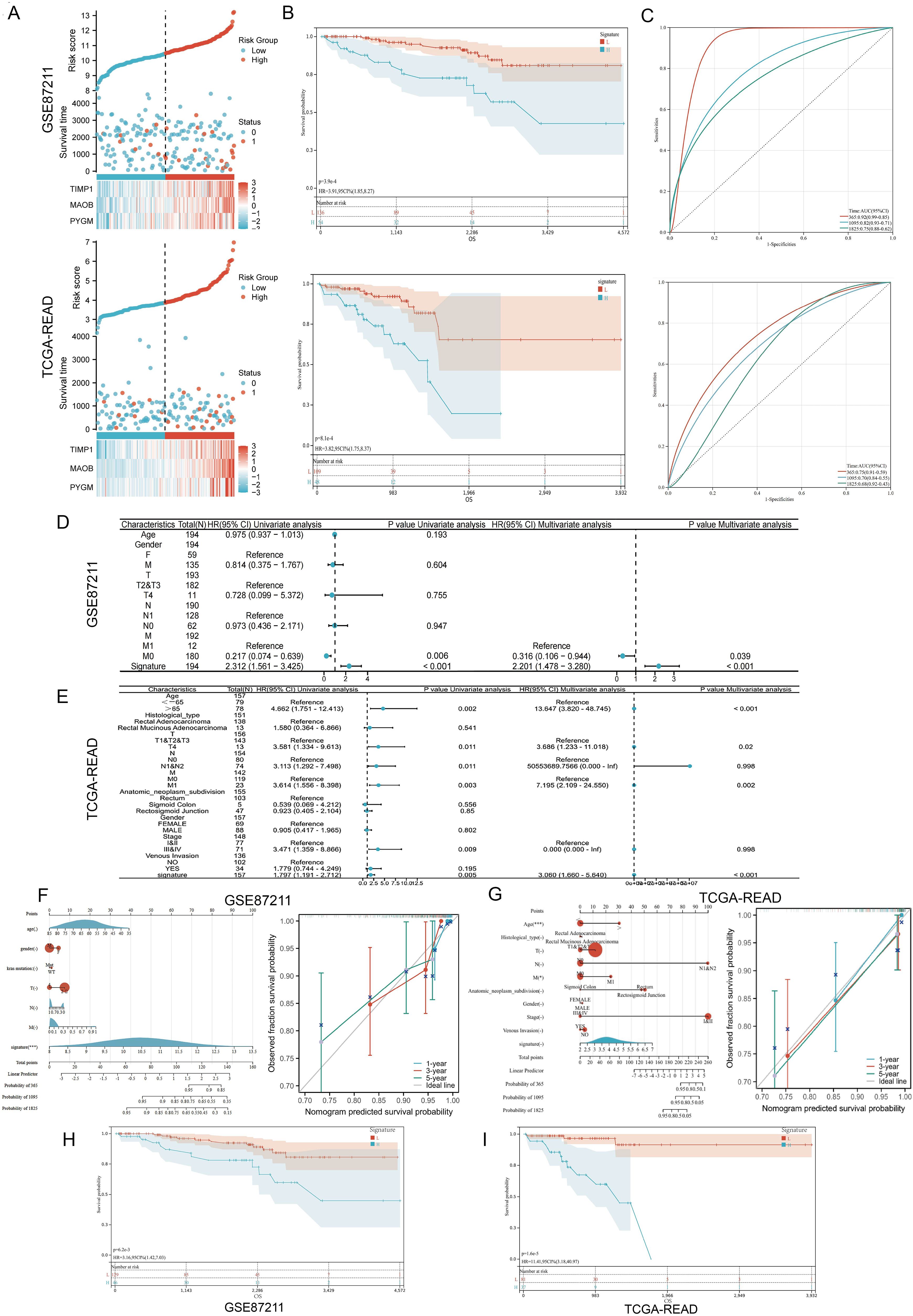 Scientific data visualizations showing survival analysis and risk assessments for datasets GSE87211 and TCGA-READ. Panels A, B, H, and I include Kaplan-Meier curves, with risk groups and gene expression marked. Panel C shows ROC curves. Panels D and E display forest plots with hazard ratios and confidence intervals for univariate and multivariate analyses. Panels F and G present nomograms and calibration curves for predicted survival probabilities. Each graph contributes to analyzing the impact of various clinical and genetic factors on survival outcomes.