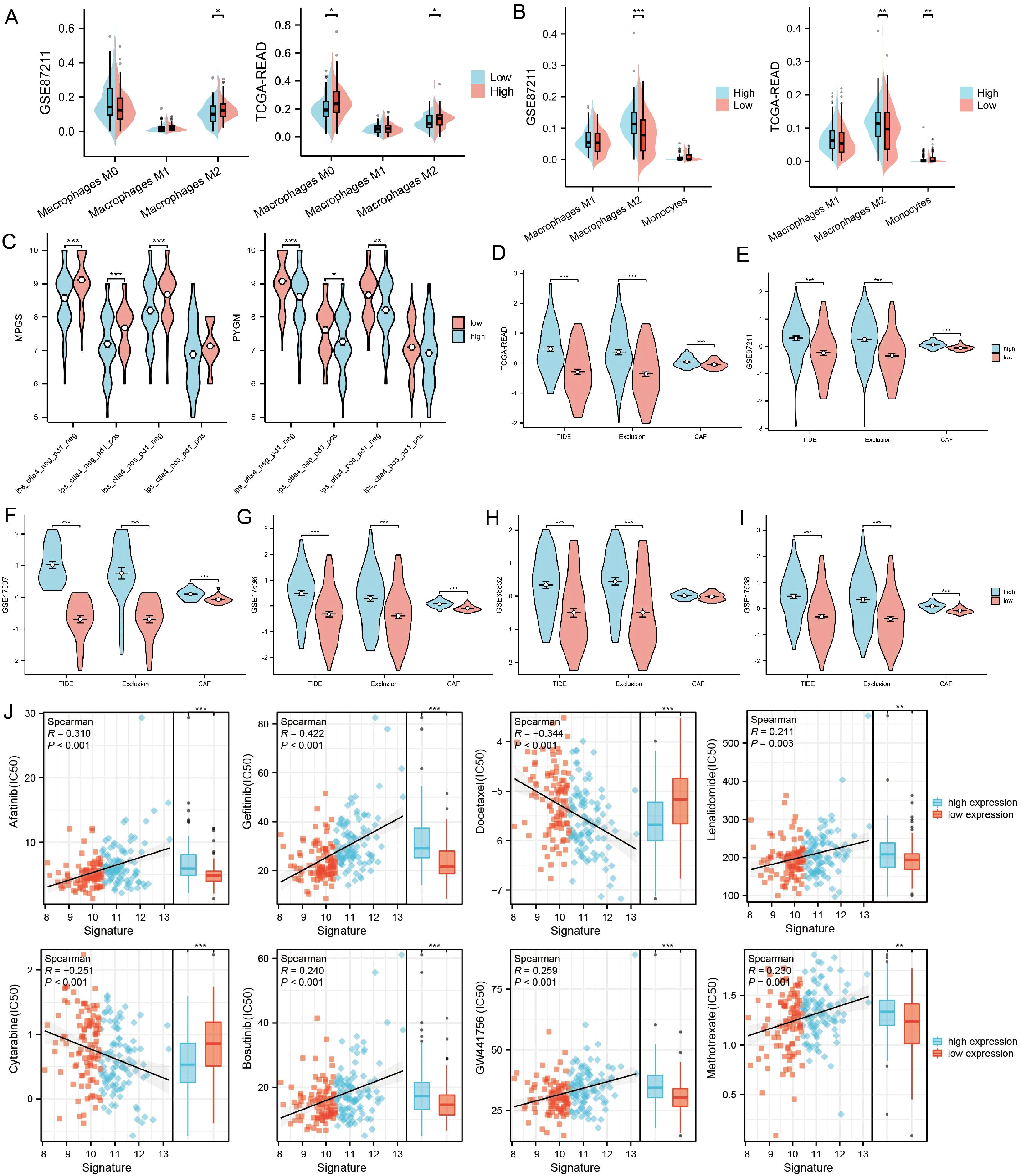 Multiple violin plots and scatter plots comparing gene expression levels and signatures. Panels A to I show differences in macrophage and monocyte expression across datasets, with color-coded high and low expression groups and significance indicators. Panel J features scatter plots with correlations between signatures and drug sensitivity, displaying Spearman correlation values and statistical significance. Bar plots are included for expression comparison.