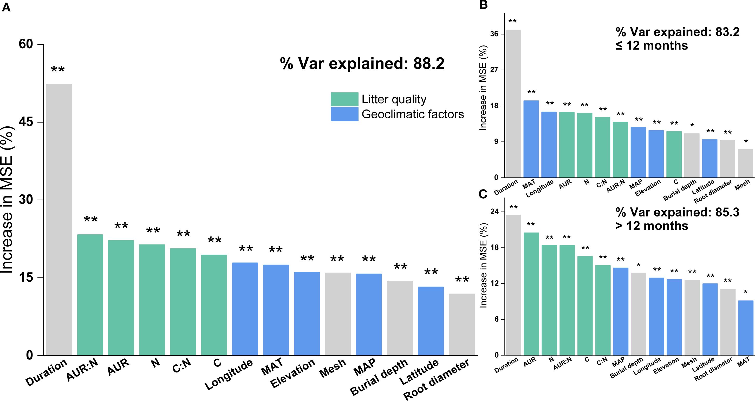 Bar charts showing factors increasing mean squared error (MSE) across different variables. Chart A (88.2% variance) ranks “Duration” highest. Chart B (83.2% variance, ≤12 months) shows “Duration” as most significant. Chart C (85.3% variance, >12 months) also highlights “Duration” as dominant. Variables are categorized by litter quality (green) and geoclimatic factors (blue), with significance indicated by asterisks.