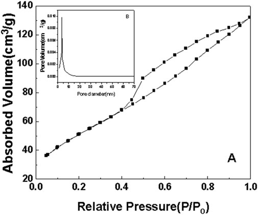Graph showing the relationship between absorbed volume (cubic centimeters per gram) and relative pressure (P/P₀). The curve demonstrates adsorption-desorption isotherms with increasing absorbed volume as pressure rises. Inset graph (B) illustrates pore volume (cubic centimeters per gram) versus pore diameter (nanometers), showing a steep drop at smaller diameters.