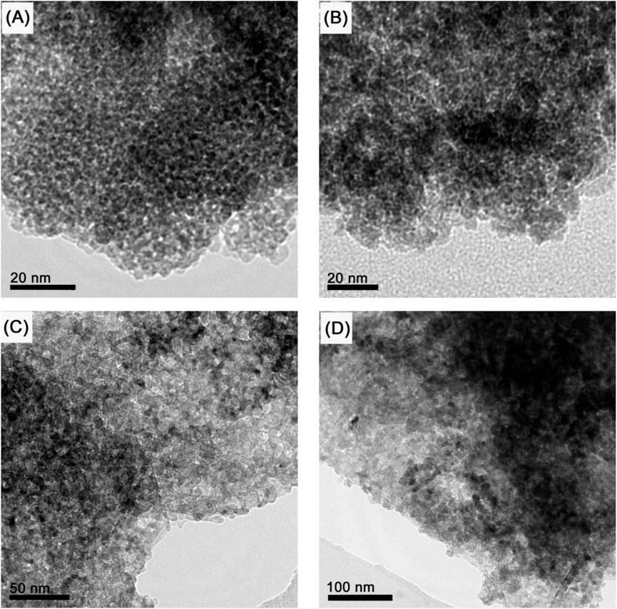 Four panels labeled A, B, C, and D display transmission electron microscope images of nanostructures. Panels A and B show granular textures at 20 nm scale. Panel C exhibits a similar pattern at 50 nm, while panel D presents a larger area with denser granules at 100 nm.