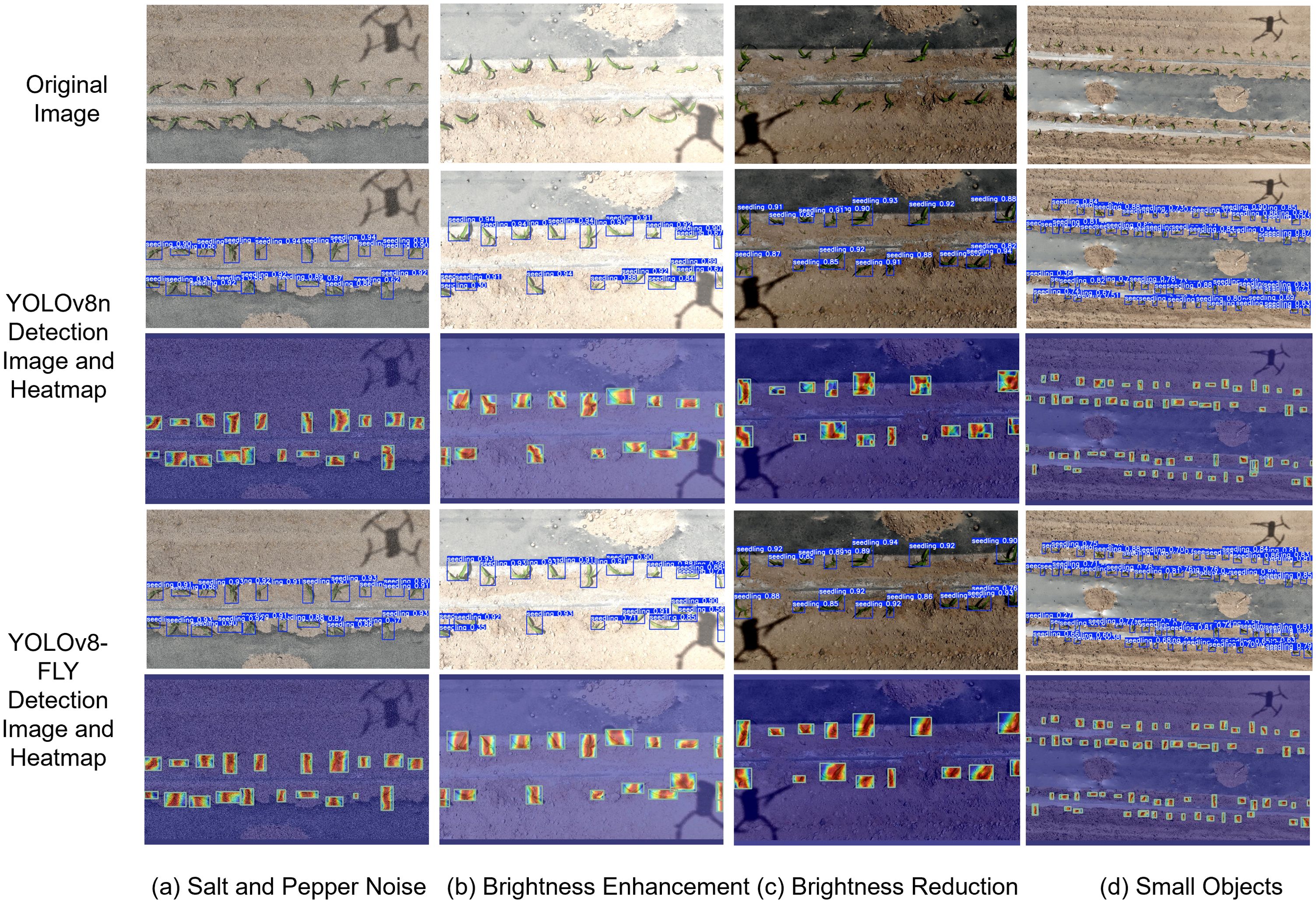 Original and processed images show seedling detection under different conditions. Each row represents a method: original, YOLOv8n, and YOLOv8-FLY, with images and heatmaps under conditions such as salt and pepper noise, brightness enhancement and reduction, and small objects detection. Blue bounding boxes and heatmaps highlight detected seedlings.