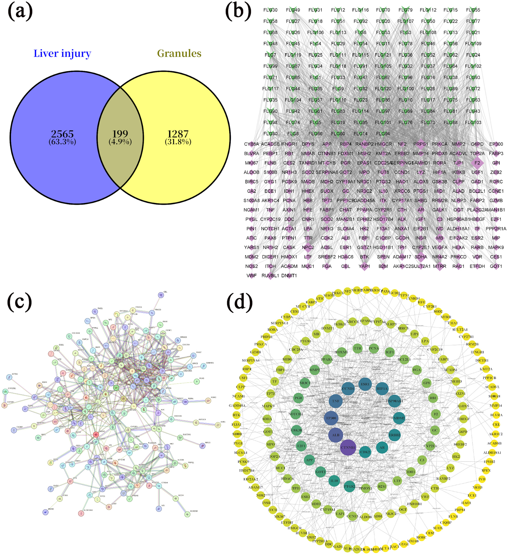 (a) Venn diagram showing overlap between liver injury (2,565; 63.3%) and granules (1,287; 31.8%) with 199 shared elements (4.9%). (b) A complex network graph with green and purple nodes, interlinked by numerous edges. (c) A colorful network graph displaying multiple interconnected nodes. (d) Concentric circular network graph, with nodes in different colors on each circle, connected by lines.