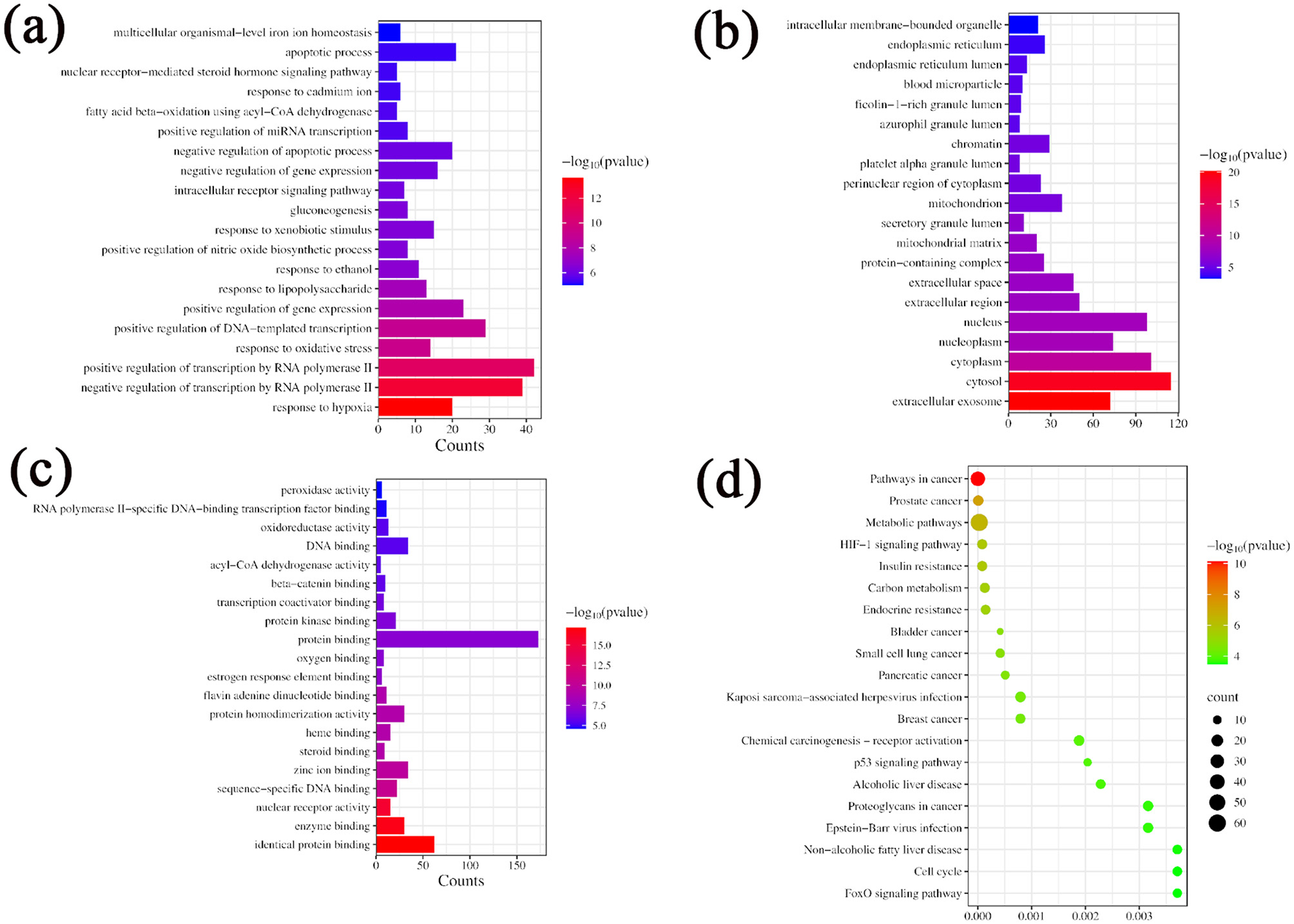 Four bar and scatter plots labeled (a) to (d) display biological processes, cellular components, molecular functions, and pathways in cancer, respectively. Each plot uses a color gradient to encode \(-\log_{10}(p\text{value})\) and features labeled bars for counts or pathways. Larger counts or pathways are represented by longer or bigger circles, with a spectrum from blue to red in bar plots and green to red in the scatter plot.
