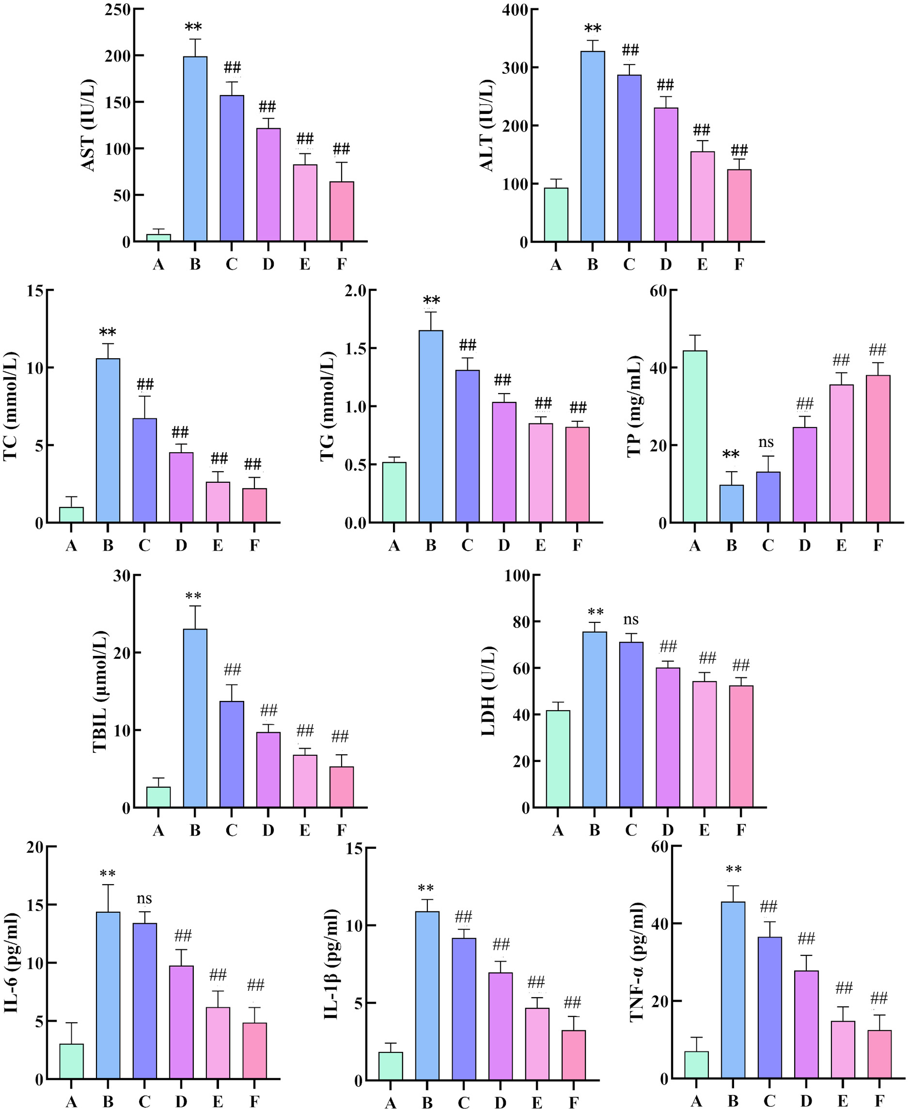 Bar charts display changes in various biochemical markers (AST, ALT, TC, TG, TP, TBIL, LDH, IL-6, IL-1β, TNF-α) across groups A to F. Significant differences are indicated with asterisks and hash symbols. Values tend to be highest in group B and decrease in subsequent groups, with varied levels of statistical significance.