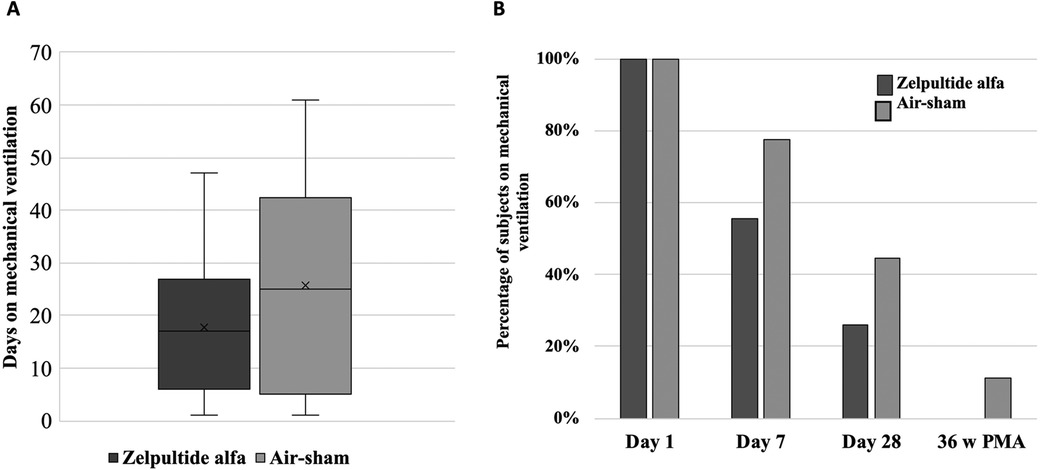 Panel A shows a box plot comparing days on mechanical ventilation between Zelpultide alfa and Air-sham, with Zelpultide alfa having fewer days. Panel B displays a bar chart showing the percentage of subjects on mechanical ventilation at different time points: Day 1, Day 7, Day 28, and 36 weeks postmenstrual age, where Zelpultide alfa consistently shows lower percentages than Air-sham.