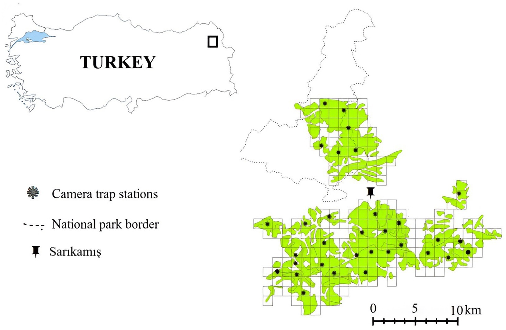 Map showing camera trap stations in Sarıkamış National Park, Turkey. The camera locations are marked with asterisks, while park borders are outlined with dashed lines. A scale bar indicates distances from zero to ten kilometers.