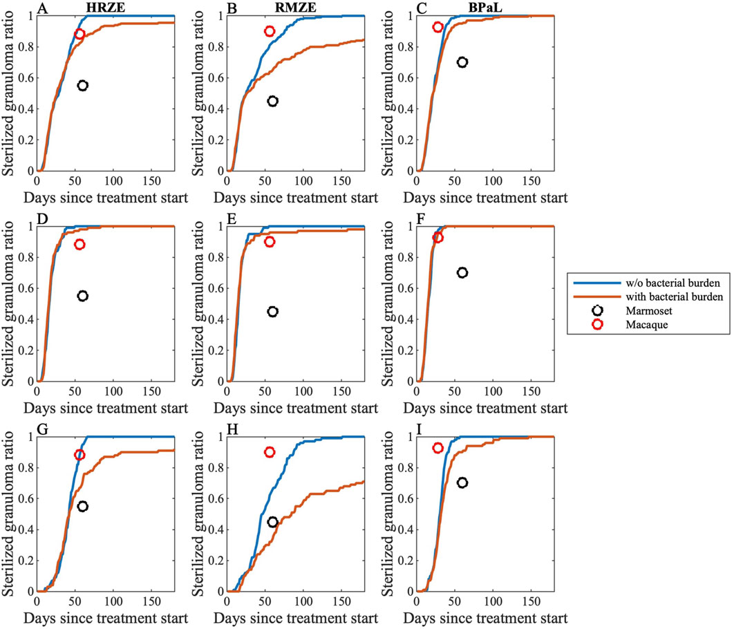 Line graphs labeled A to I show sterilized granuloma ratio over days since treatment start for different drug regimens: HRZE, RMZE, BPaL. Blue lines represent data without bacterial burden, orange lines with bacterial burden, and circles indicate marmoset and macaque data. All graphs display similar trends with varying discrepancies between the colored lines.