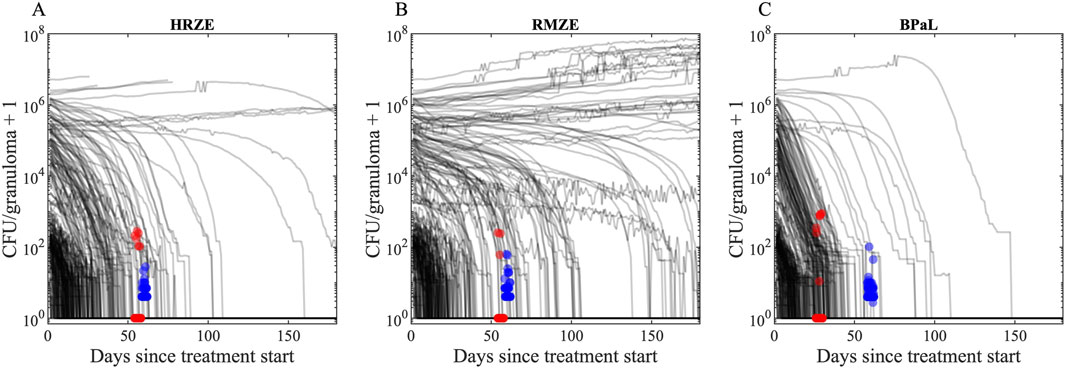 The figure presents three line graphs labeled A, B, and C, showing CFU per granuloma over time for different treatments: HRZE, RMZE, and BPaL. The x-axis represents days since treatment start, while the y-axis shows CFU levels on a logarithmic scale. Graphs depict varying declines in CFU counts over time with BPaL showing a steeper decline. Each graph includes red and blue data points indicating experimental measurements.