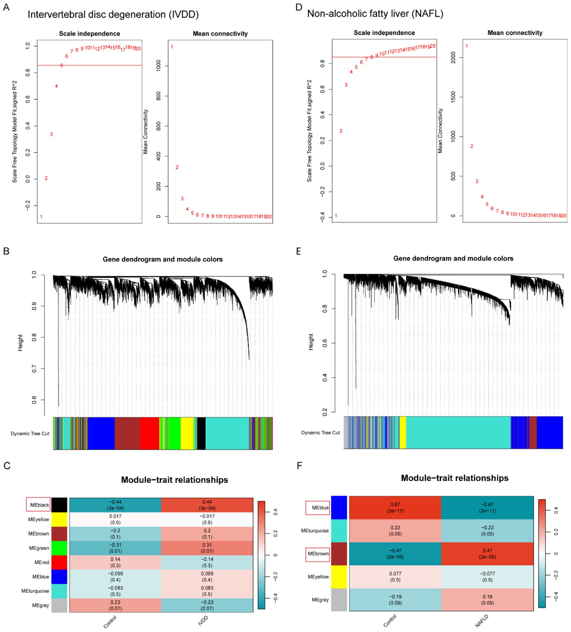 Two sets of data visualizations compare Intervertebral Disc Degeneration (IVDD) and Non-alcoholic Fatty Liver (NAFL). Each set includes: A) and D) line graphs showing scale independence and mean connectivity; B) and E) dendrograms with module colors for gene relationships; C) and F) heatmaps depicting module-trait relationships with color-coded modules and numerical values. All visualizations focus on connectivity and gene expression analysis in different contexts.