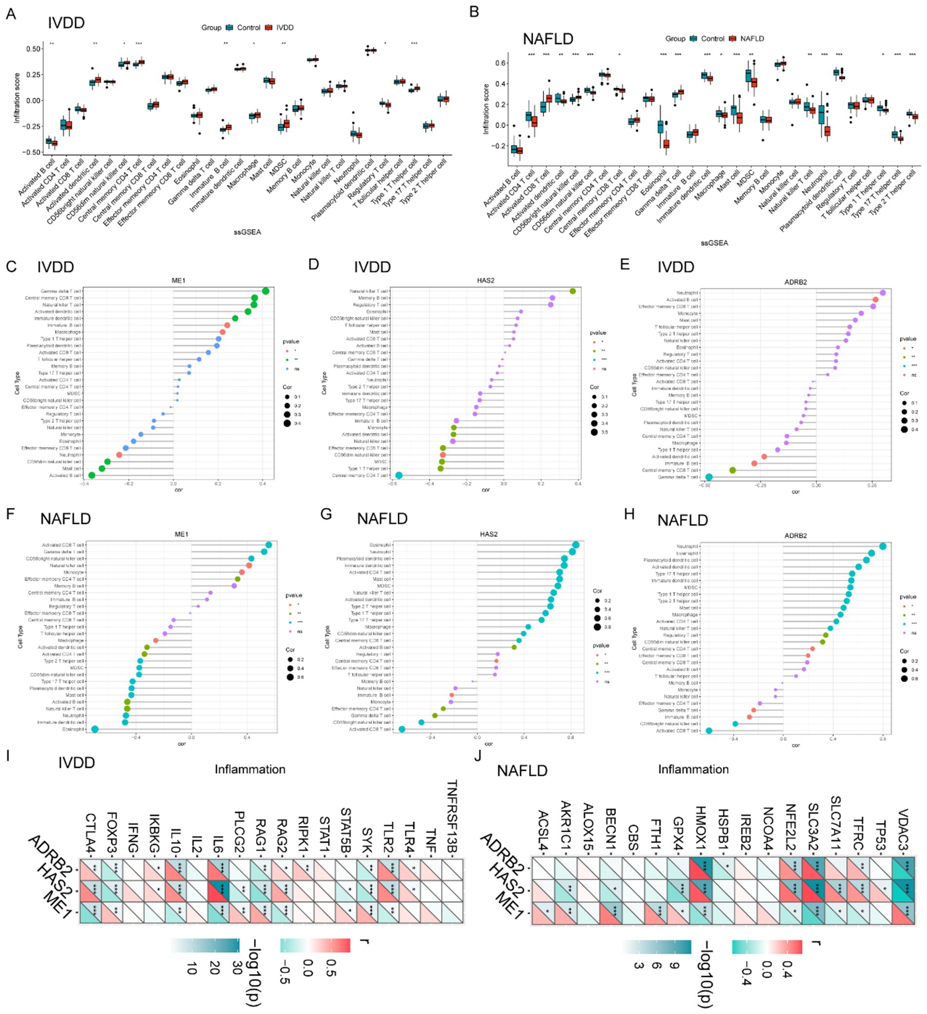 Graphs and plots analyzing gene expression related to inflammatory diseases. Panels A and B feature box plots of various gene expressions for IVDD and NAFLD, respectively, differentiating control and affected groups. Panels C to H display bubble charts illustrating correlation data for IVDD and NAFLD using ME1, HAS2, and ADRB2 as matrices. Panel I shows a matrix for IVDD linking specific genes to inflammation, while Panel J displays a similar matrix for NAFLD. Both matrices use color gradients to indicate correlation levels and statistical significance.