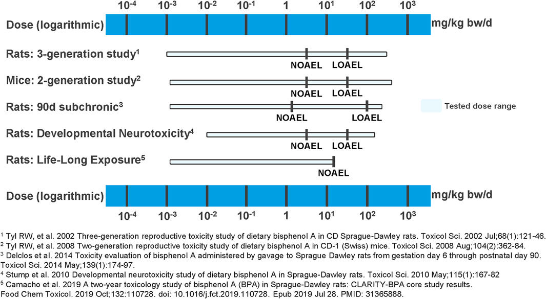 Logarithmic dose-response chart shows studied effects of bisphenol A on rats and mice. Each line represents a study with specific NOAEL (No Observed Adverse Effect Level) and LOAEL (Lowest Observed Adverse Effect Level) marked. The dose range is light blue, while the axis shows 10-´ to 10³ mg/kg-bw/day. Studies include 3-generation and 2-generation studies, 90-day subchronic, developmental neurotoxicity, and lifelong exposure in rats. Footnotes reference specific studies.