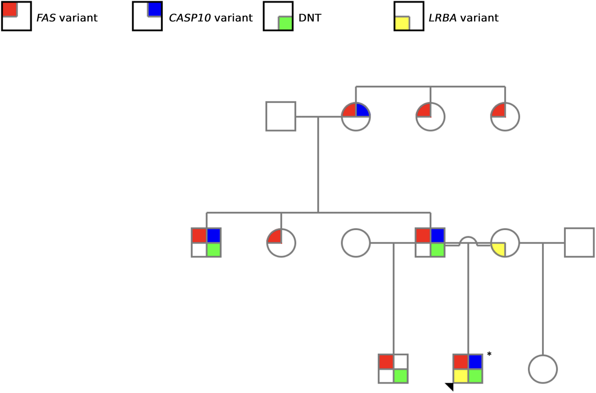 Genetic pedigree chart showing inheritance patterns of FAS variant in red, CASP10 variant in blue, DNT in green, and LRBA in yellow. Squares represent males, circles represent females, with affected individuals marked by colors corresponding to specific mutations as indicated in the legend.