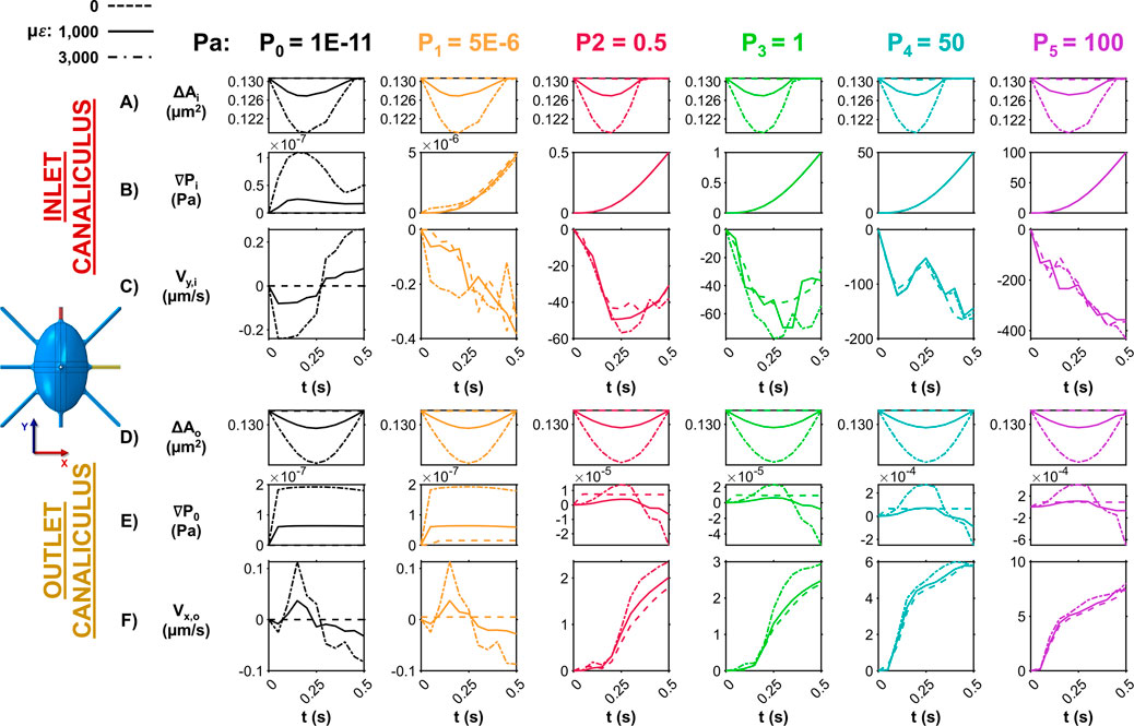Graphs showing changes over time for variables ΔA, ∇P, and V in the inlet (Section A) and outlet (Section B) canaliculi under different pressure conditions (P₀ to P₅). Six columns represent pressures P₀=1E-11 to P₅=100Pa, with three line types for different applied strains. Time is on the x-axis, and variable values on the y-axis for each plot.