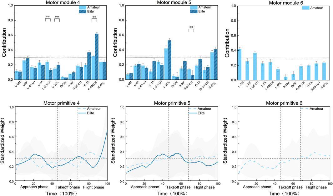 The image consists of two rows of graphs analyzing motor modules and primitives for amateur and elite categories. The top row displays bar graphs for Motor Modules 4, 5, and 6, showcasing muscle contributions, with significant differences marked. The bottom row shows line graphs for Motor Primitives 4, 5, and 6, charting standardized weight over the approach, takeoff, and flight phases. Each graph distinguishes between amateur and elite performances.