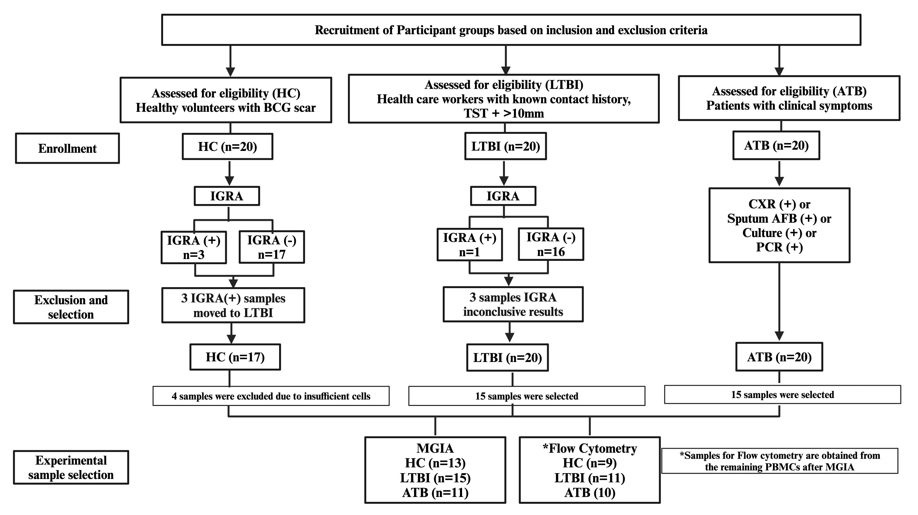 Flowchart illustrating the recruitment and selection of participant groups based on eligibility criteria for health conditions: Healthy Controls (HC), Latent Tuberculosis Infection (LTBI), and Active Tuberculosis (ATB). Participants underwent Interferon Gamma Release Assay (IGRA) tests. Results determined inclusion in groups with annotations of IGRA status, exclusion due to cell insufficiency, and future experimental procedures like MGIA and Flow Cytometry. The chart details eligibility, selection, exclusion, and experimental steps with specific numerical outcomes for each process stage.