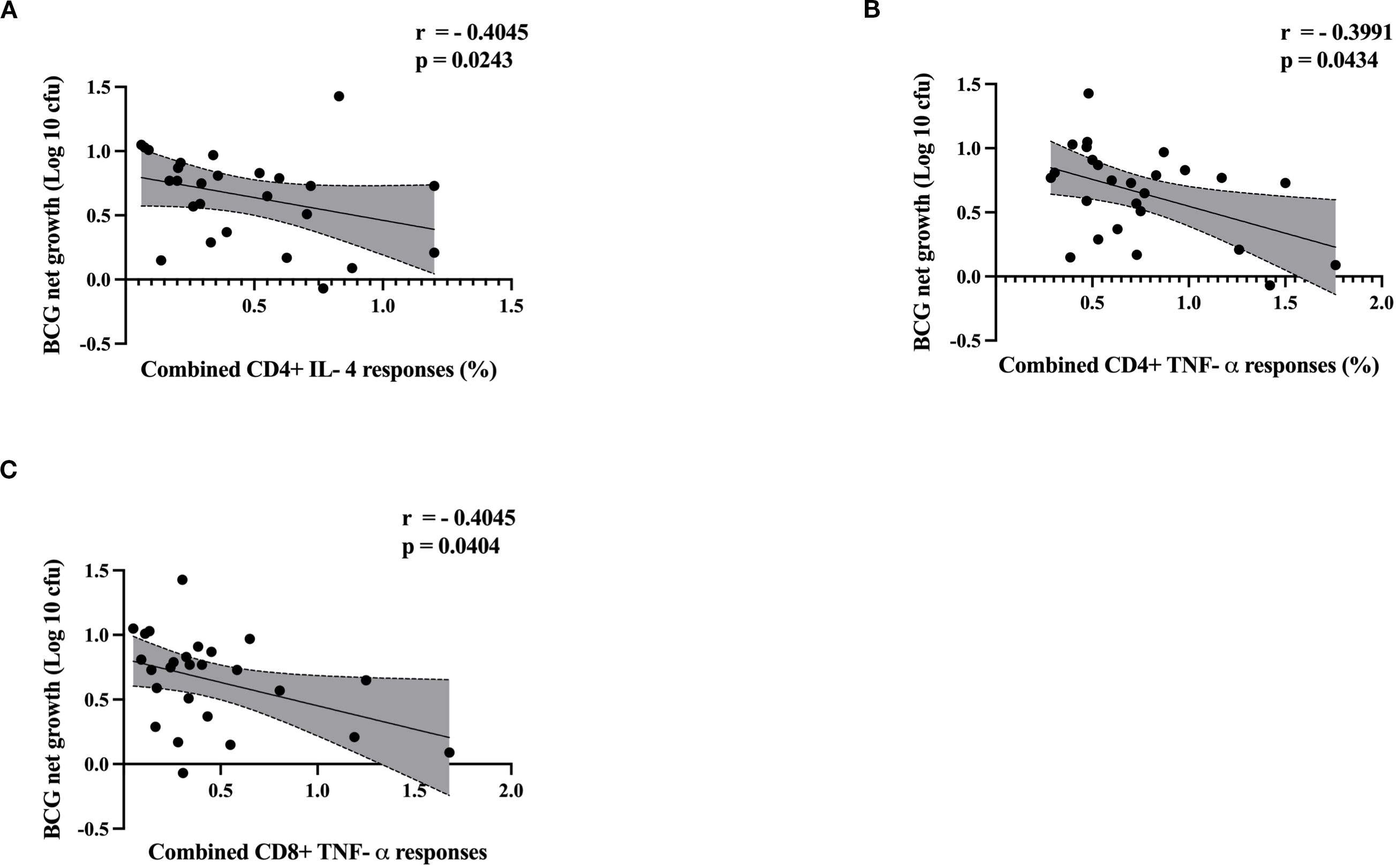 Three scatter plots labeled A, B, and C show the relationship between BCG net growth and immune responses. Plot A: Combined CD4+ IL-4 responses vs. BCG net growth; negative correlation (r = -0.4045, p = 0.0243). Plot B: Combined CD4+ TNF-α responses vs. BCG net growth; negative correlation (r = -0.3991, p = 0.0434). Plot C: Combined CD8+ TNF-α responses vs. BCG net growth; negative correlation (r = -0.4045, p = 0.0404). Gray shading indicates confidence intervals.