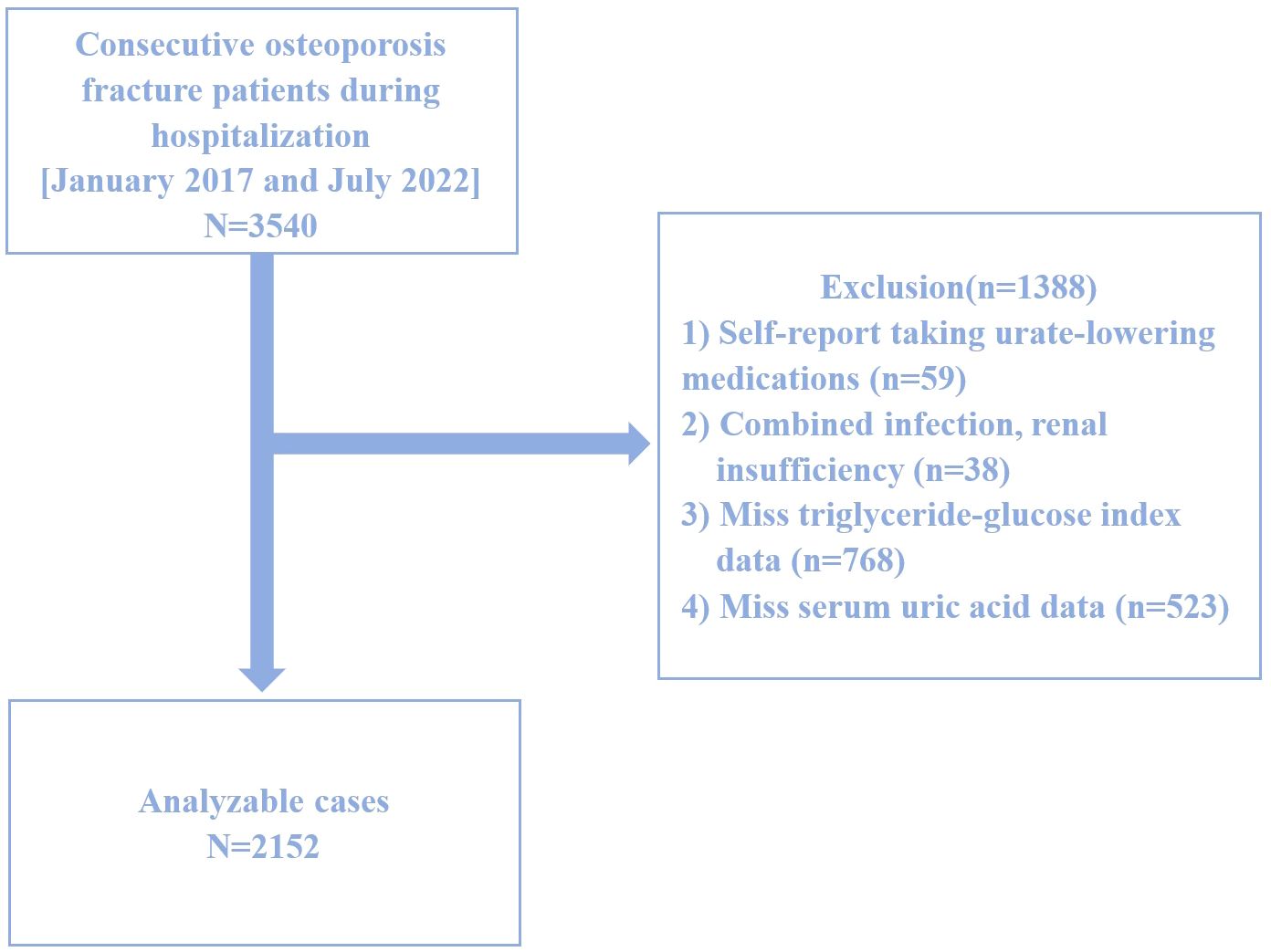Flowchart depicting patient selection for a study. Beginning with 3,540 consecutive osteoporosis fracture patients between January 2017 and July 2022. Exclusions total 1,388, including 59 self-reported urate-lowering medication users, 38 with combined infection and renal insufficiency, 768 missing triglyceride-glucose index data, and 523 missing serum uric acid data. Resulting in 2,152 analyzable cases.