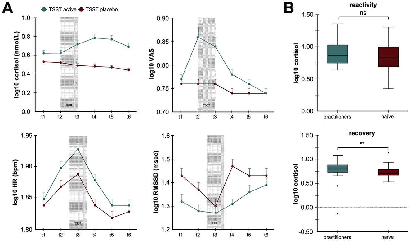 (A) Shows four line graphs comparing TSST active and placebo groups over time (t1 to t6) for cortisol, VAS, HR, and RMSSD levels. The active group generally shows higher fluctuations. (B) Features two box plots for cortisol reactivity and recovery in practitioners and naïve individuals, indicating significant recovery differences between the groups, denoted by asterisks.