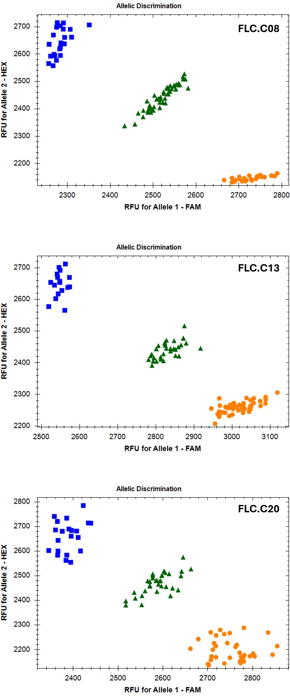 Three allelic discrimination plots are shown, each labeled FLC.C08, FLC.C13, and FLC.C20, respectively. Each plot displays three clusters of data points: blue squares for Allele 1, green triangles for a combination of both alleles, and orange circles for Allele 2. The x-axis represents RFU for Allele 1 - FAM, and the y-axis represents RFU for Allele 2 - HEX. Plots demonstrate distinct separation between alleles.