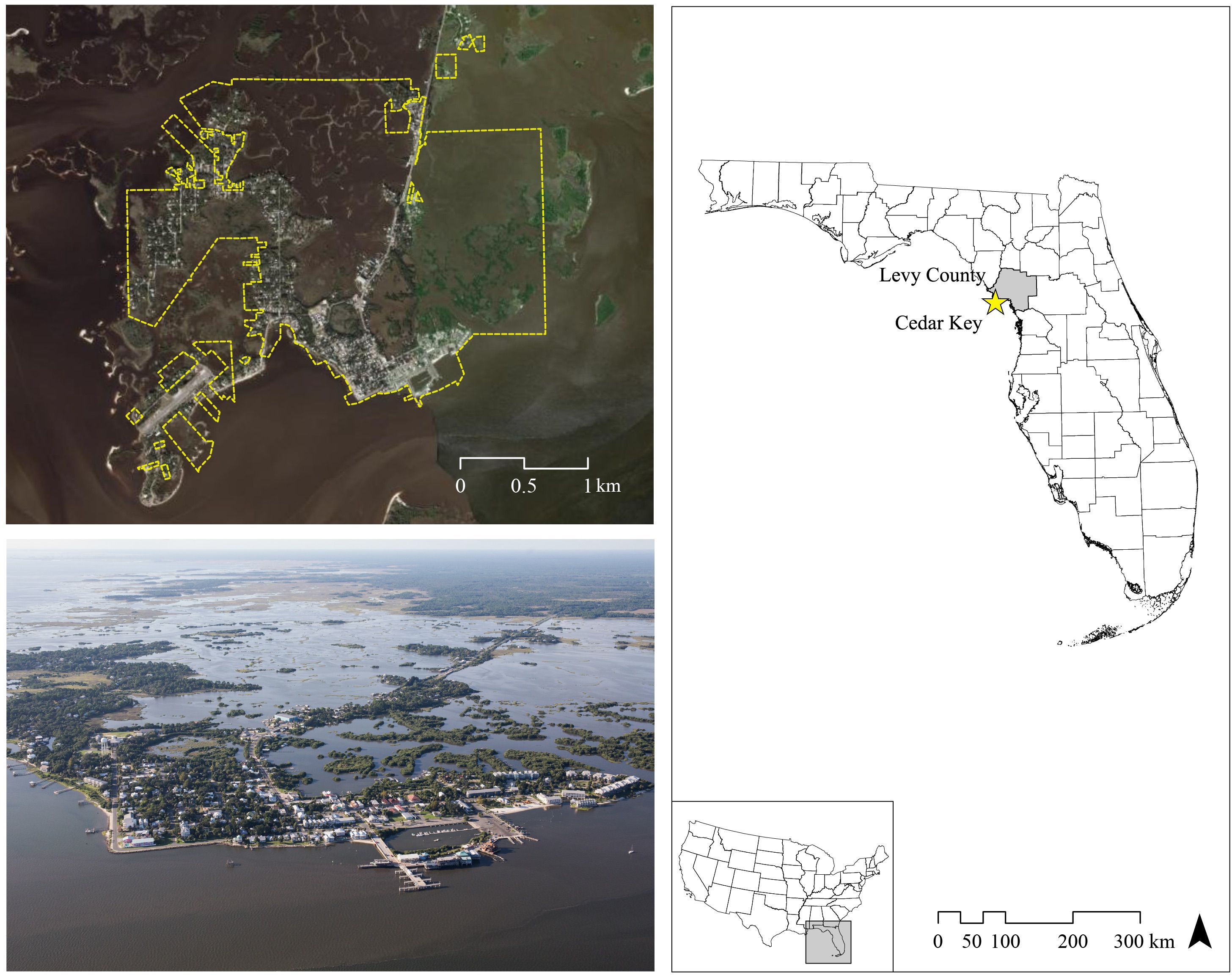 A composite image featuring a satellite view of Cedar Key, Florida, with a yellow boundary highlighting the area, an aerial photograph showing the town and surrounding waters, and a map of Florida highlighting Levy County and Cedar Key with a star. An inset shows the location of Florida within the United States.
