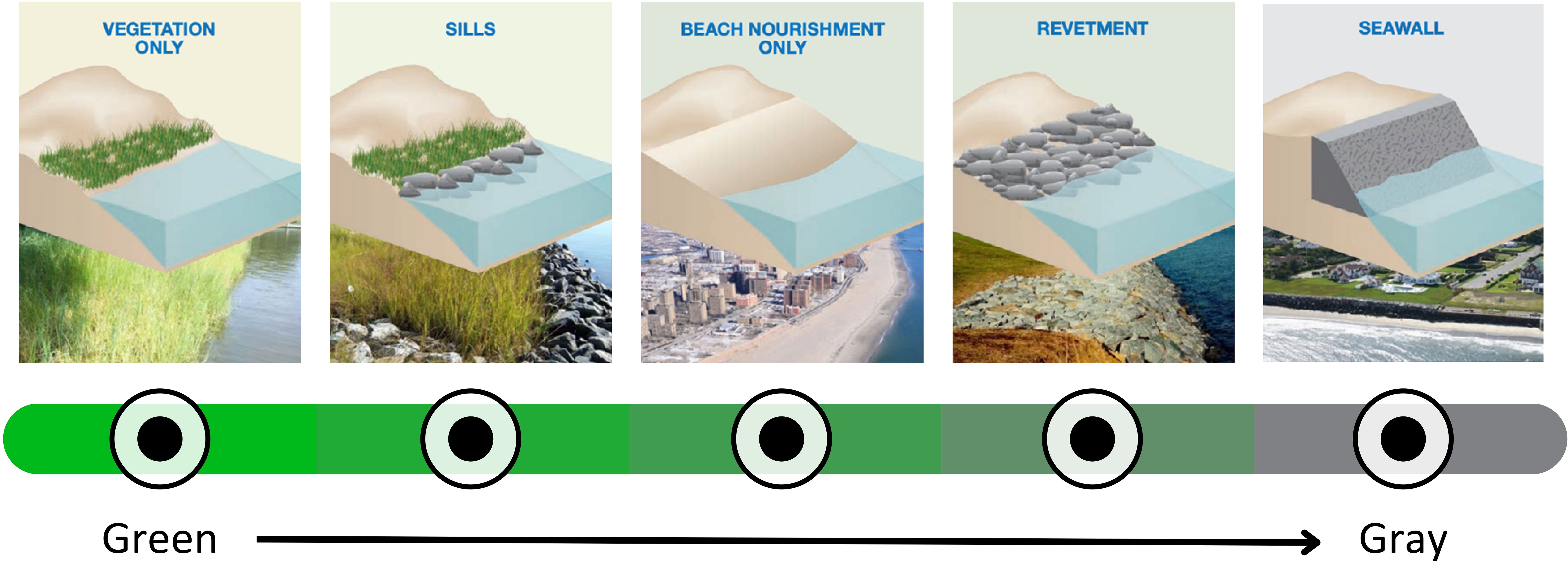Diagram showing five types coastal infrastructure along the green-gray spectrum. Includes vegetation only, sills, beach nourishment, revetment, and seawall. A gradient from green to gray signifies increasing human intervention.