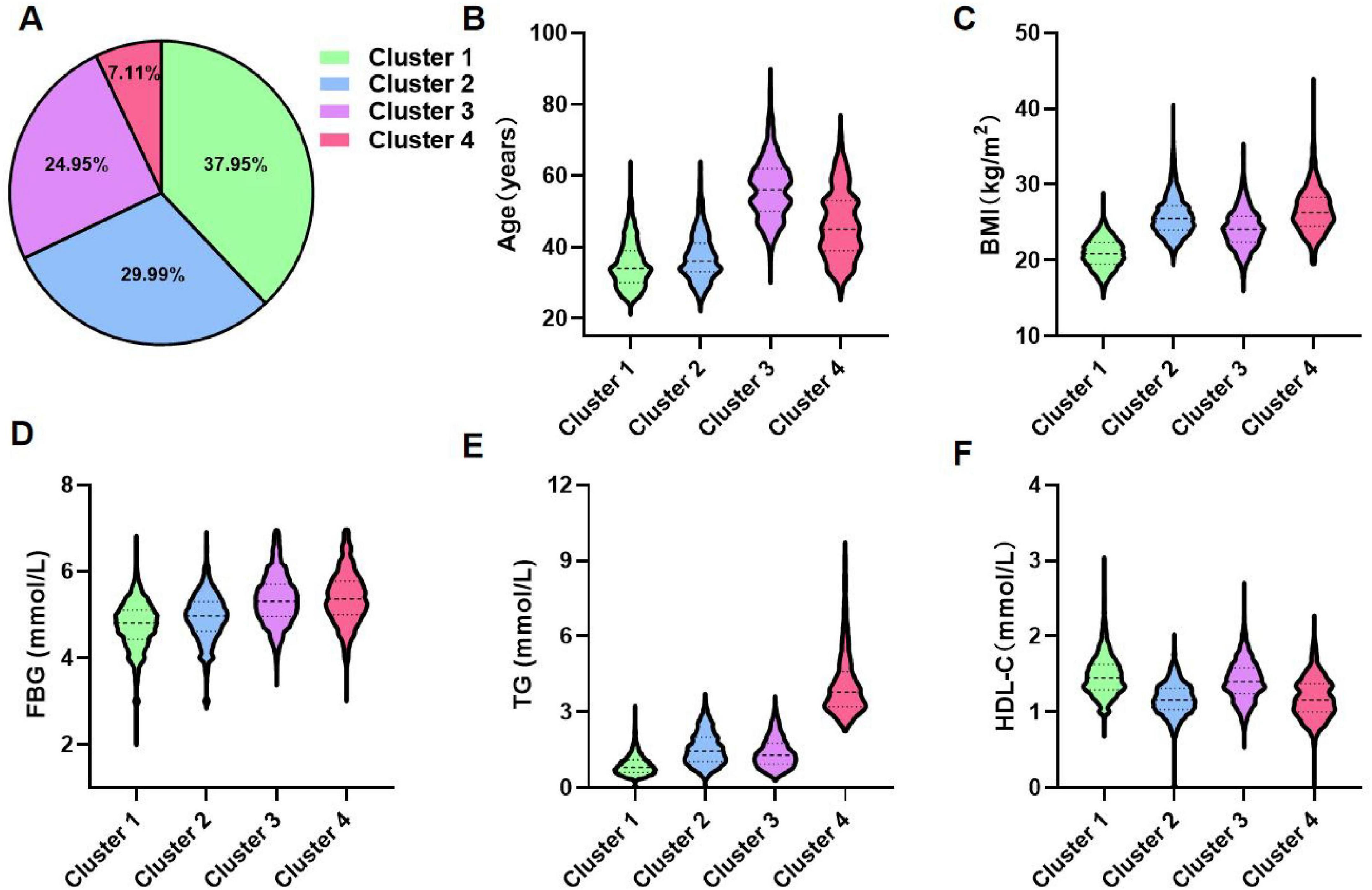 A pie chart and five violin plots display data for four clusters. The pie chart shows percentages for each cluster: Cluster 1 (37.95%), Cluster 2 (29.99%), Cluster 3 (24.95%), and Cluster 4 (7.11%). The violin plots represent data distributions for age, body mass index (BMI), fasting blood glucose (FBG), triglycerides (TG), and high-density lipoprotein cholesterol (HDL-C) across the clusters. Each parameter has its own graph (B to F). Cluster 1 is shown in green, Cluster 2 in blue, Cluster 3 in purple, and Cluster 4 in red.