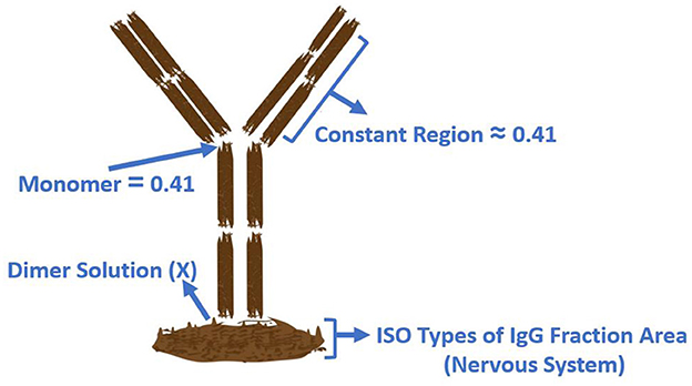 Diagram of an antibody structure with annotations. The Y-shaped structure indicates the Monomer and Constant Region, both labeled as approximately 0.41. The bottom section is labeled Dimer Solution (X) and ISO Types of IgG Fraction Area (Nervous System).