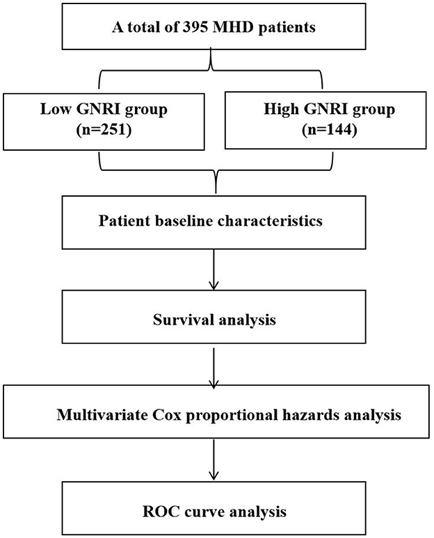 Flowchart detailing the analysis process for 395 MHD patients. They are divided into low GNRI group with 251 patients and high GNRI group with 144 patients. The analysis proceeds through patient baseline characteristics, survival analysis, multivariate Cox proportional hazards analysis, and culminates in ROC curve analysis.