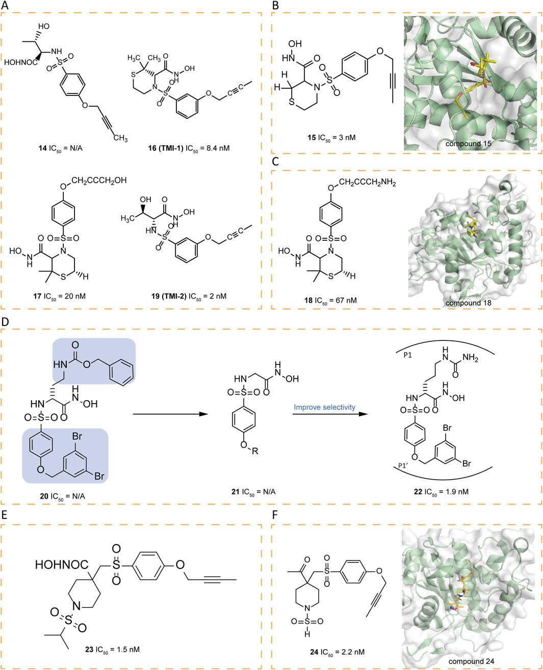 Chemical diagrams and molecular structures depict various compounds with their IC50 values, indicating their inhibitory effectiveness. Images labeled A through F show structural formulas and 3D molecular interactions in proteins. Compounds are marked with values, such as 14 (IC50 = N/A), 15 (IC50 = 3 nM), and 16 (IC50 = 8.4 nM), and include protein complex images showcasing molecular binding in a green ribbon model. These representations highlight the chemical structures and their potential biological interactions.