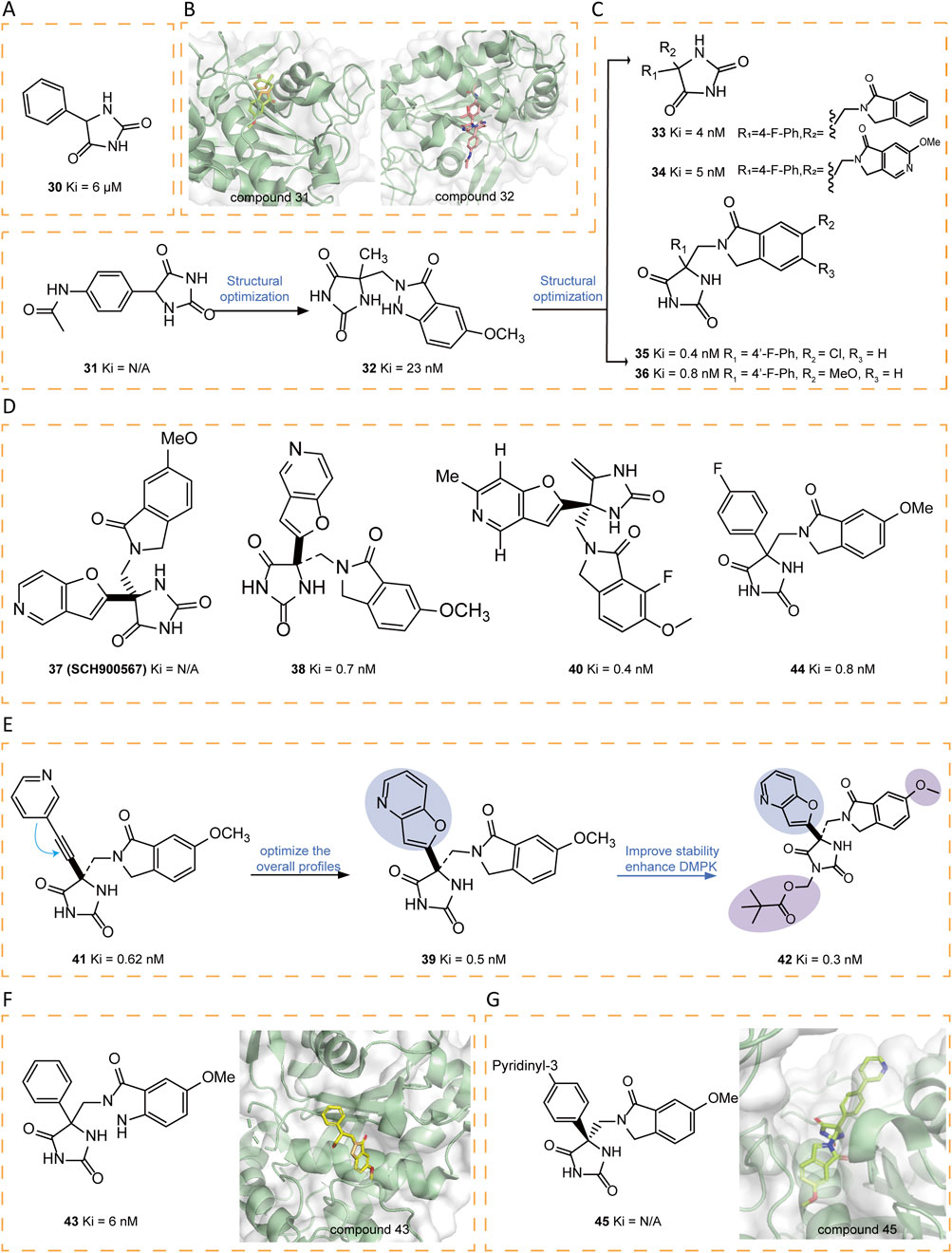 Diagrams depict chemical structures and molecular modeling related to structural optimizations of various compounds numbered from 30 to 45, with inhibition constants (Ki) and chemical modifications highlighted. Panels illustrate structural variations and binding interactions within molecular frameworks. Each section details specific changes, emphasizing optimization processes for improved stability and enhanced drug metabolism and pharmacokinetics (DMPK).