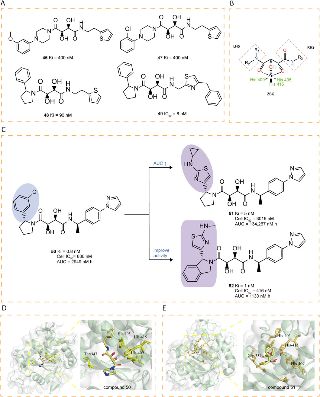 Chemical structures and molecular models of various compounds are depicted, labeled A to E. Panel A shows chemical structures with potency values (Ki and IC50) for four compounds. Panel B illustrates a zinc-binding group with histidine interactions. Panel C displays two chemical reactions indicating activity improvement with associated AUC values. Panels D and E are molecular docking models showing compound interactions with histidine residues in a protein structure.