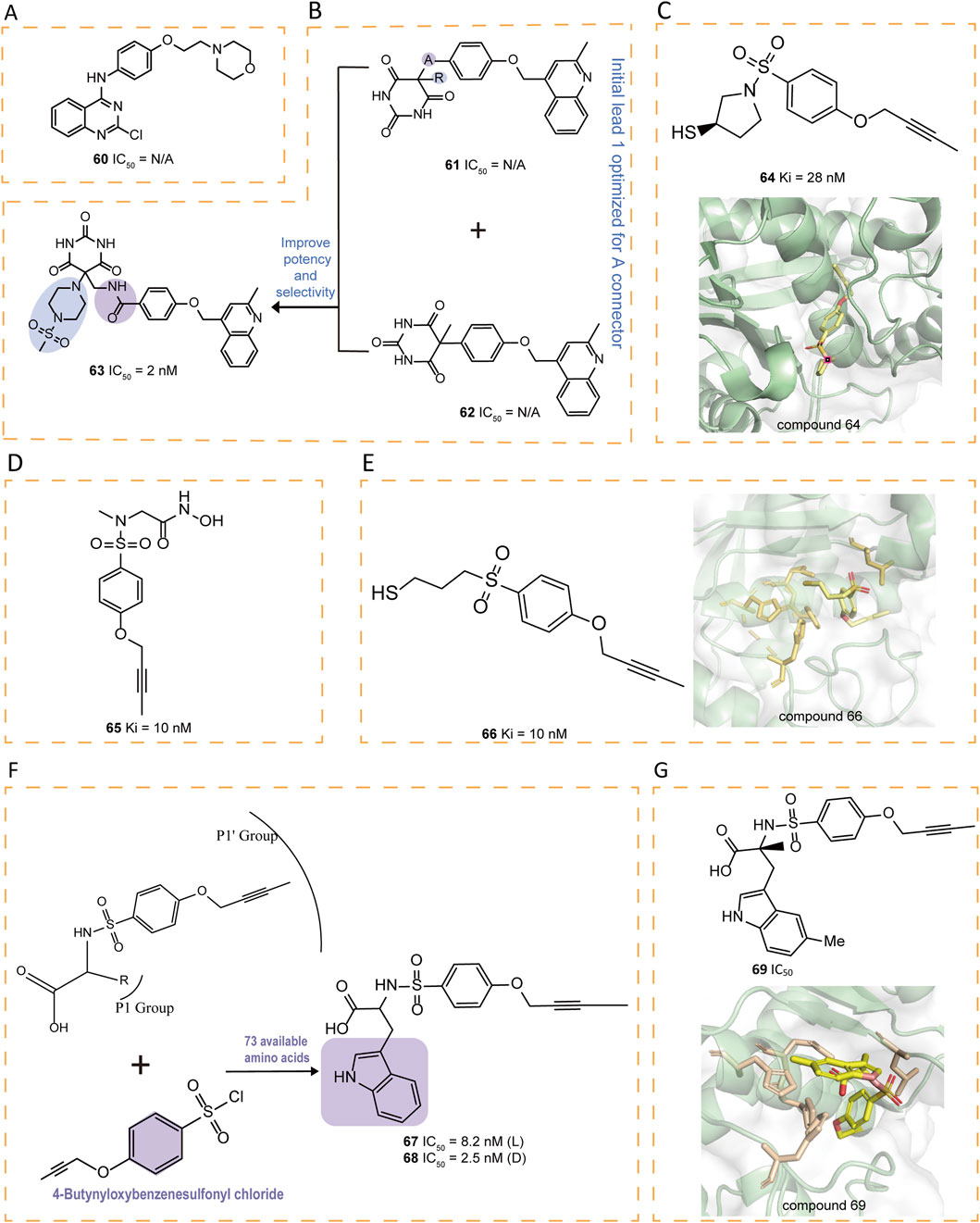 Chemical diagrams and protein-ligand interactions are shown in sections. A: Compound 60 and 63 with IC50 values. B: Synthesis path with compounds 61 and 62. C: Structure of compound 64 with a Ki value and its binding visualization. D: Compound 65 structure with a Ki value. E: Compound 66 structure with a Ki value and binding visualization. F: Synthesis approach for compounds 67 and 68 with IC50 values. G: Compound 69 structure with its binding visualization.