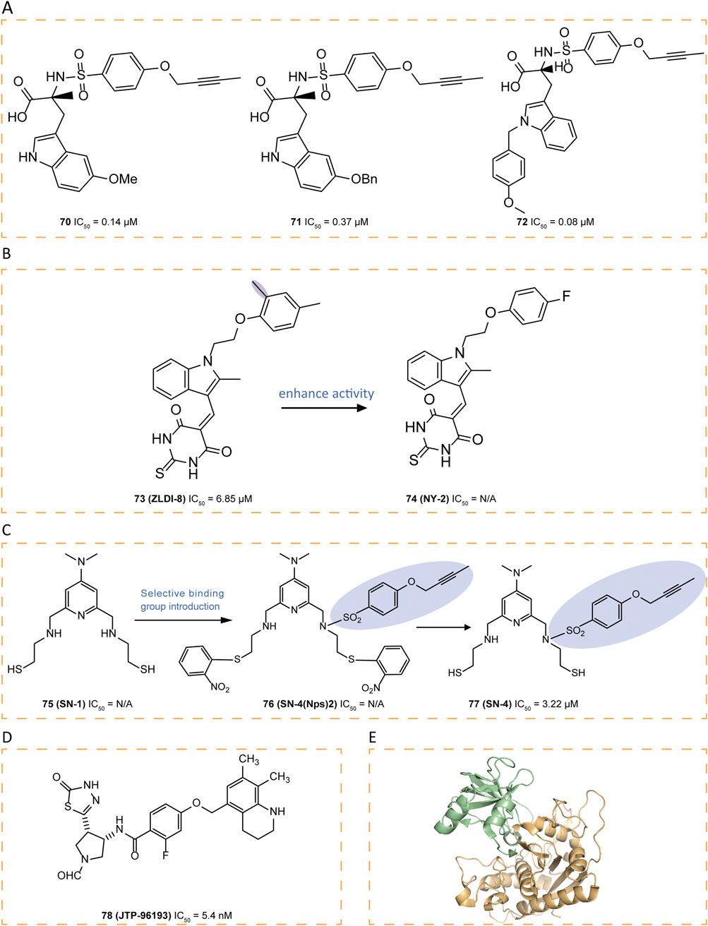 Chemical schematics highlight structures and IC₅₀ values for various compounds. Panel A shows compounds 70, 71, and 72 with IC₅₀ values of 0.14 µM, 0.37 µM, and 0.08 µM, respectively. Panel B illustrates compounds 73 (ZLDI-8, IC₅₀ = 6.85 µM) and 74 (NY-2, IC₅₀ unavailable) with an arrow indicating enhanced activity. Panel C presents compounds 75, 76, and 77 with modifications for selective binding. Panel D displays compound 78 (JTP-96193, IC₅₀ = 5.4 nM). Panel E shows a 3D protein structure with green and tan areas.
