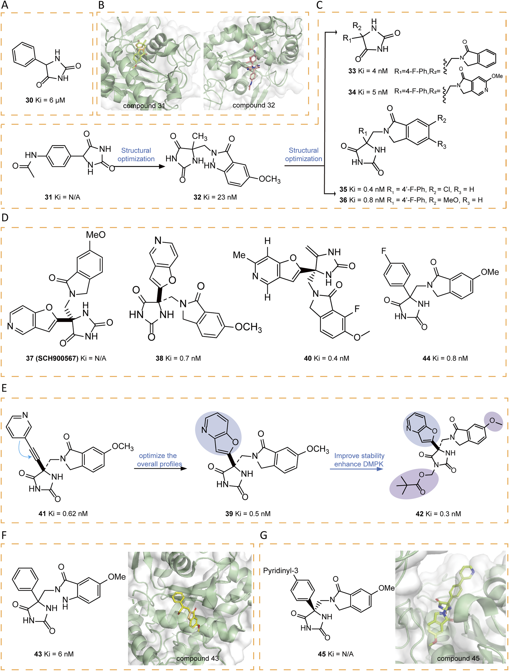 Diagrams depict chemical structures and molecular modeling related to structural optimizations of various compounds numbered from 30 to 45, with inhibition constants (Ki) and chemical modifications highlighted. Panels illustrate structural variations and binding interactions within molecular frameworks. Each section details specific changes, emphasizing optimization processes for improved stability and enhanced drug metabolism and pharmacokinetics (DMPK).
