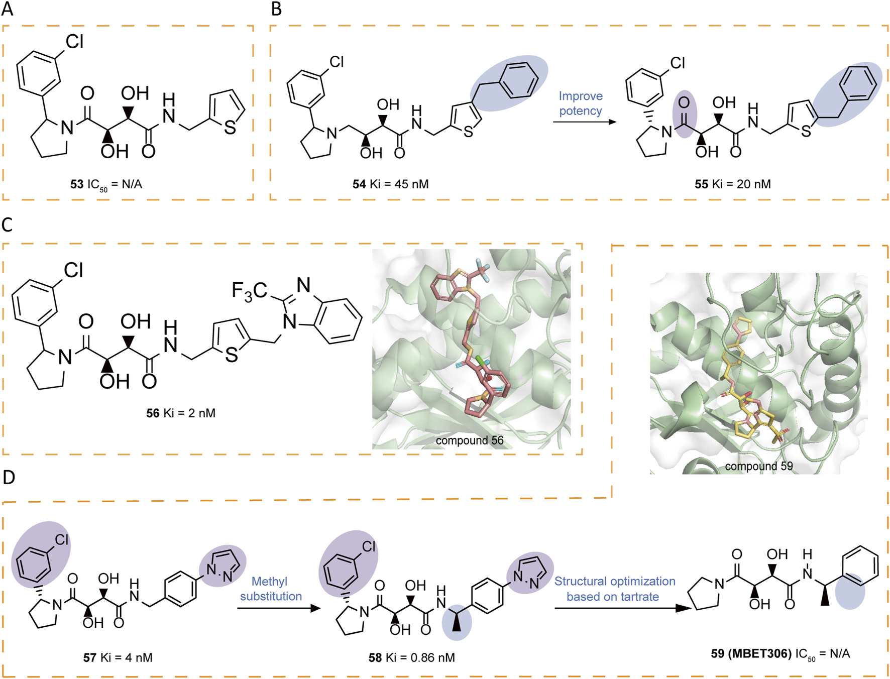 Chemical structure diagrams for compounds labeled 53 to 59 showcase varying binding affinities, depicted as IC₅₀ or Kᵢ values. Panel A presents compound 53. Panel B highlights the progression from compound 54 to 55, indicating improved potency. Panel C features compound 56 with a Kᵢ of 2 nM and includes visual representations of compounds 56 and 59 within a 3D protein model. Panel D illustrates modifications from compounds 57 to 58, noting methyl substitution. Compound 59 concludes the series. Specific chemical groups are highlighted for clarity.