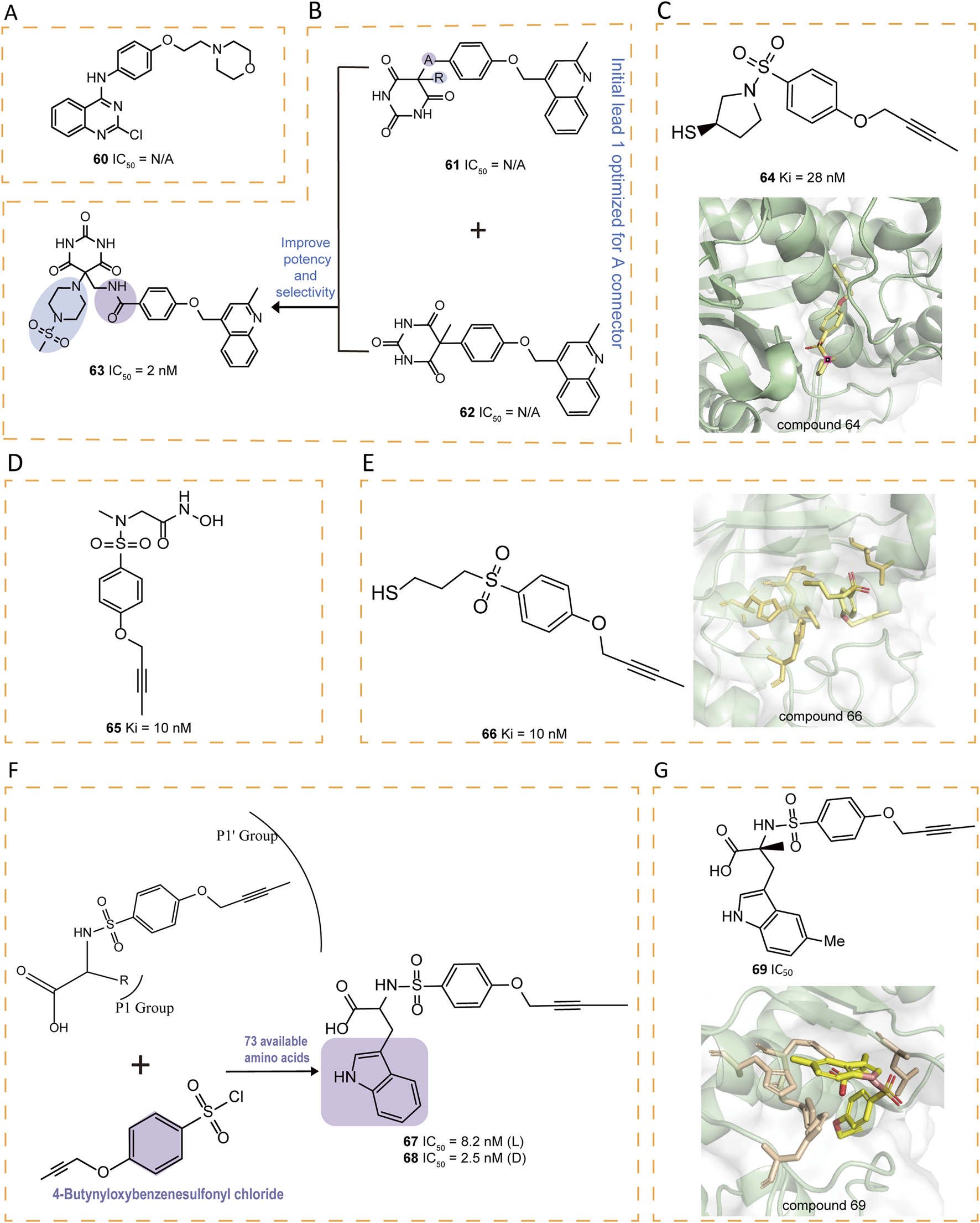 Chemical diagrams and protein-ligand interactions are shown in sections. A: Compound 60 and 63 with IC50 values. B: Synthesis path with compounds 61 and 62. C: Structure of compound 64 with a Ki value and its binding visualization. D: Compound 65 structure with a Ki value. E: Compound 66 structure with a Ki value and binding visualization. F: Synthesis approach for compounds 67 and 68 with IC50 values. G: Compound 69 structure with its binding visualization.
