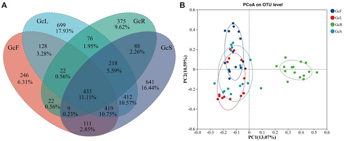 Panel A shows a Venn diagram depicting overlapping regions of four groups labeled GcF, GcL, GcR, and GcS with respective quantities and percentages. Panel B displays a scatter plot of PCoA on OTU level, with points color-coded by group. The axes represent PC1 (13.07%) and PC2 (10.59%).