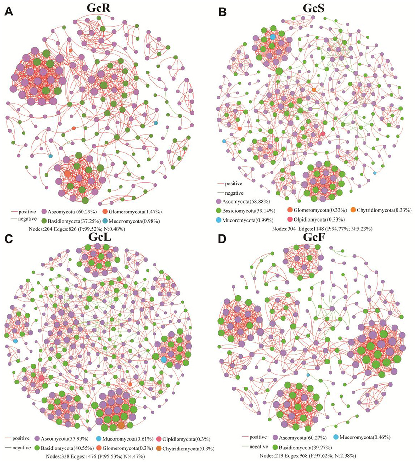 Four circular network diagrams labeled A, B, C, and D, represent different fungal communities (GcR, GcS, GcL, GcF). Each diagram consists of nodes and edges depicting positive and negative interactions. The nodes are color-coded by fungal groups: Ascomycota, Basidiomycota, Glomeromycota, Mucoromycota, Olpidiomycota, and Chytridiomycota. The diagrams include metrics such as percentages of each fungal group, and the number of nodes and edges. The connections use lines for positive and dashed lines for negative interactions, with green, lavender, and various pastel hues illustrating node types.