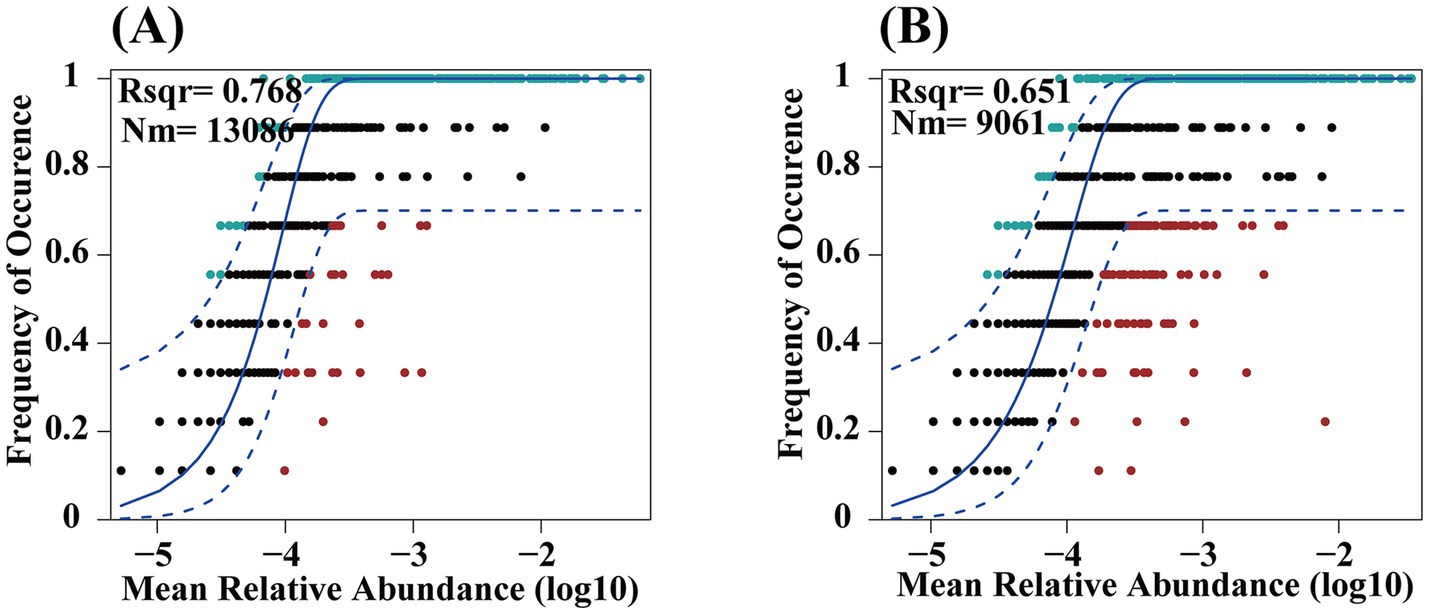 Two scatter plots labeled A and B show the relationship between the mean relative abundance (log10) and frequency of occurrence. Plot A has an R-squared value of 0.768 with Nm equals 13,086, while Plot B has an R-squared value of 0.651 with Nm equals 9,061. Both plots display data points in black and red, with fitting curves and dashed lines indicating trends. The frequency ranges from 0 to 1 on the y-axis, and abundance ranges from approximately -5 to -2 on the x-axis.