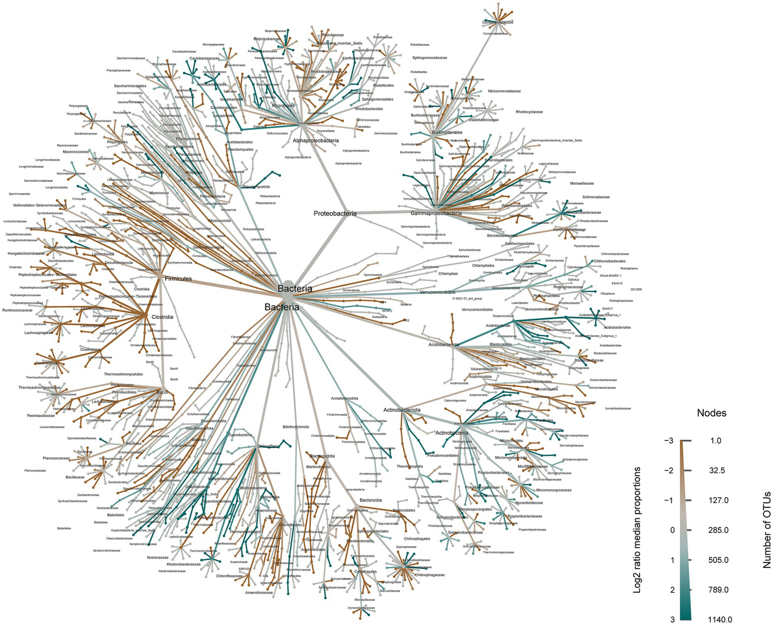 Phylogenetic tree illustrating bacterial relationships, with branches labeled by bacterial taxa such as Proteobacteria and Firmicutes. Colored branches represent log2 ratio median proportions, with a gradient from brown to blue indicating varying numbers of Operational Taxonomic Units (OTUs). A legend explains color significance and node size, showing the range from 1 to 1140 OTUs.