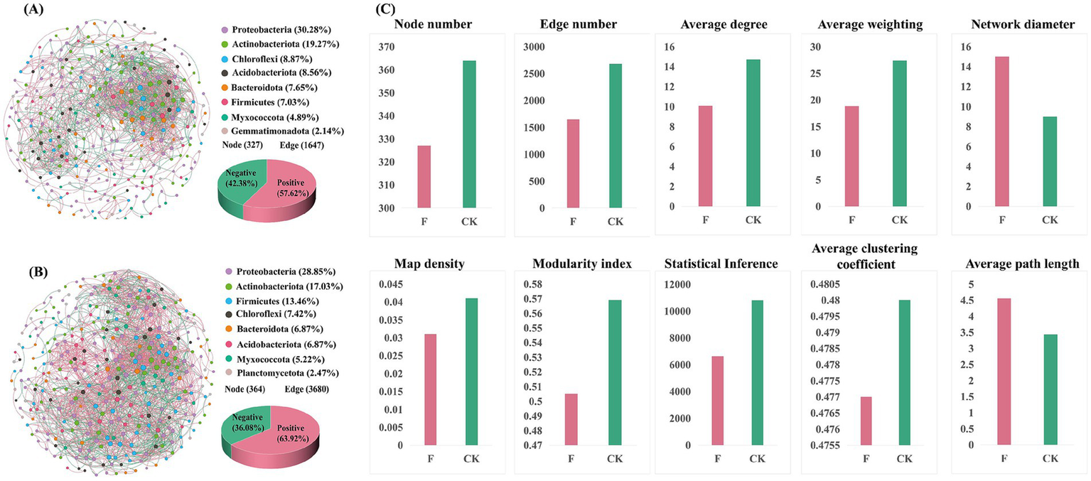 The image consists of three main sections labeled A, B, and C. Sections A and B show microbial network graphs with nodes and edges, each depicting different bacterial phyla such as Proteobacteria and Actinobacteriota. Pie charts indicate the proportions of positive and negative interactions, with section A showing 57.62% positive and section B showing 63.92% positive. Section C contains bar charts comparing various network metrics, such as node number, edge number, and average degree between samples labeled F and CK, with CK generally having higher values than F.