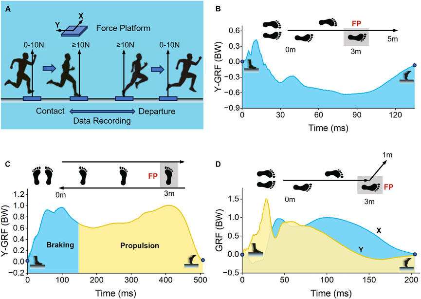 Diagram illustrating force platform data and ground reaction forces (GRF) in dynamic activities. Panel A shows a runner's stages: contact and departure with force thresholds. Panel B presents a graph of vertical GRF (Y-GRF) over 120 milliseconds, indicating footfalls and the force platform (FP) location. Panel C includes a graph showing braking and propulsion phases over 500 milliseconds, with FP markers. Panel D features a similar GRF graph, depicting movement directions and FP at 3 meters, over 200 milliseconds. Footprints illustrate running path across all panels.