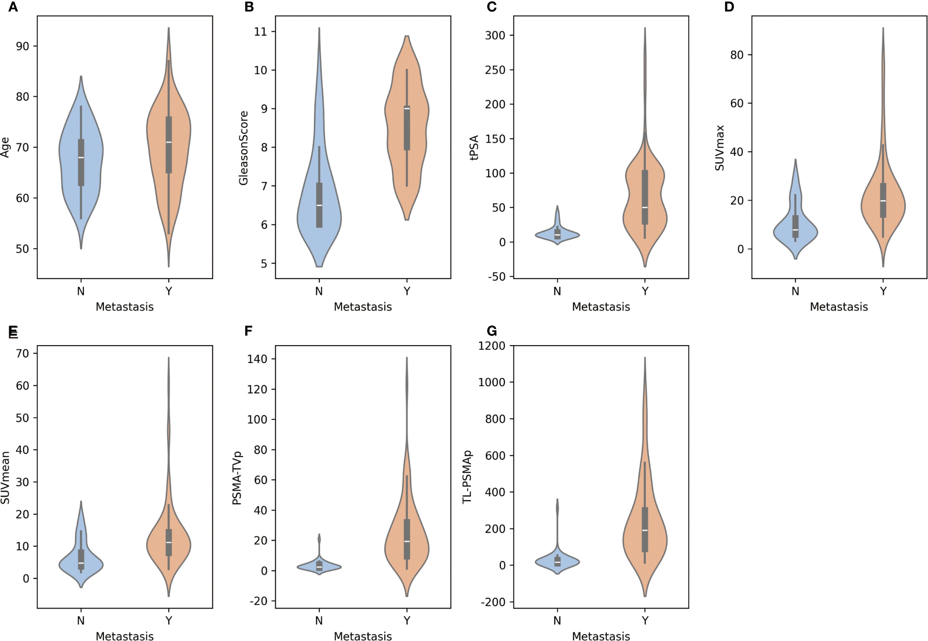 Seven violin plots labeled A to G compare variables against metastasis status: N (no) and Y (yes). Plots depict distribution differences for Age, Gleason Score, tPSA, SUVmax, SUVmean, PSMA-TVp, and TL-PSMAp. Each plot shows distinct shapes and spreads, indicating variable measurements related to metastasis presence or absence.