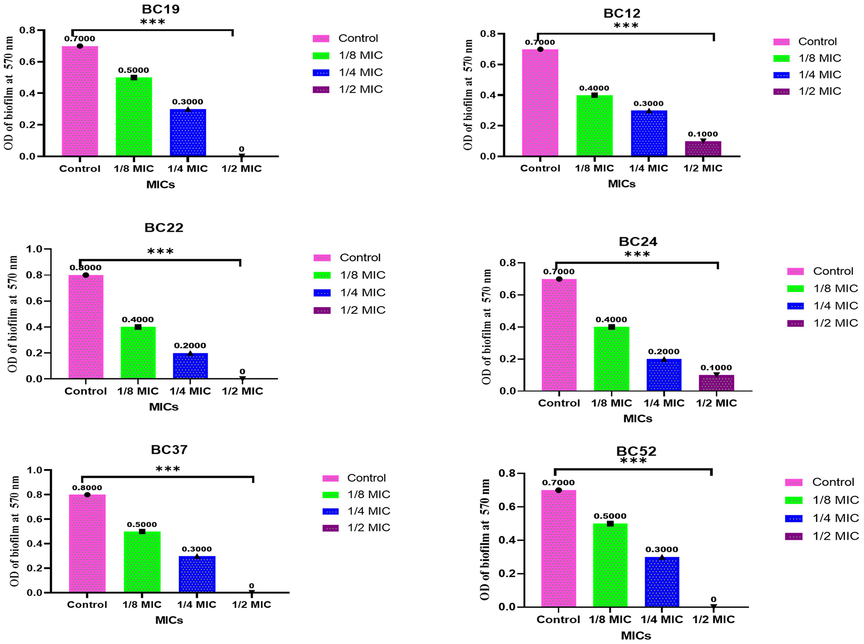 Bar graphs displaying the optical density (OD) of biofilm at 570 nanometers for samples BC19, BC12, BC22, BC24, BC37, and BC52 across different minimum inhibitory concentrations (MICs) - Control, 1/8 MIC, 1/4 MIC, and 1/2 MIC. Each graph shows a decreasing trend in biofilm density from control to 1/2 MIC, with statistical significance indicated by three asterisks. The legend identifies colors for each MIC level.