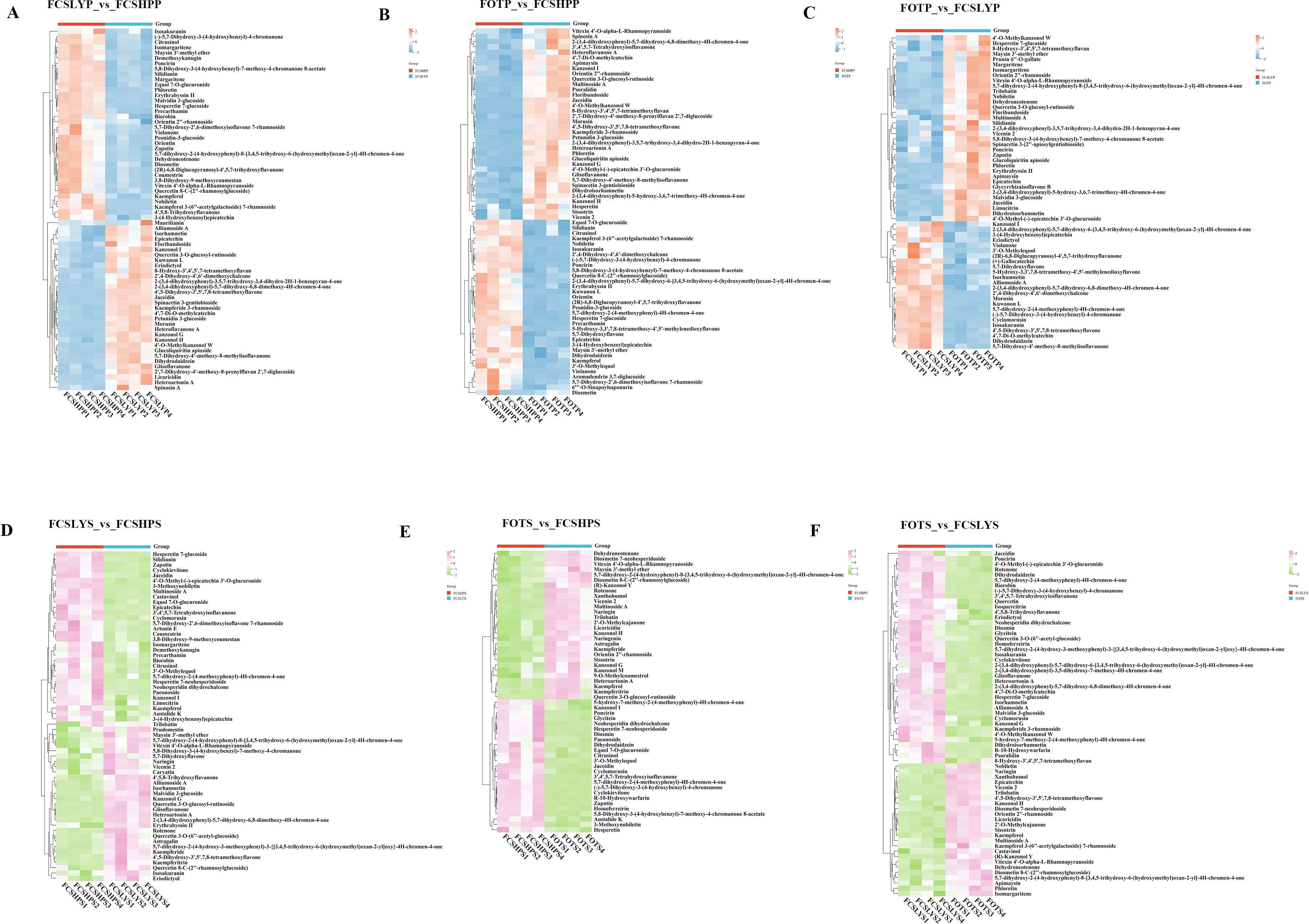 Heatmaps labeled A to F, comparing different groups with color gradients from blue to red and green to pink. These heatmaps are used to compare the expression levels of differential flavonoid metabolites among different groups. Each panel includes clustered data and color keys indicating significance. Axes display sample and metabolite labels.